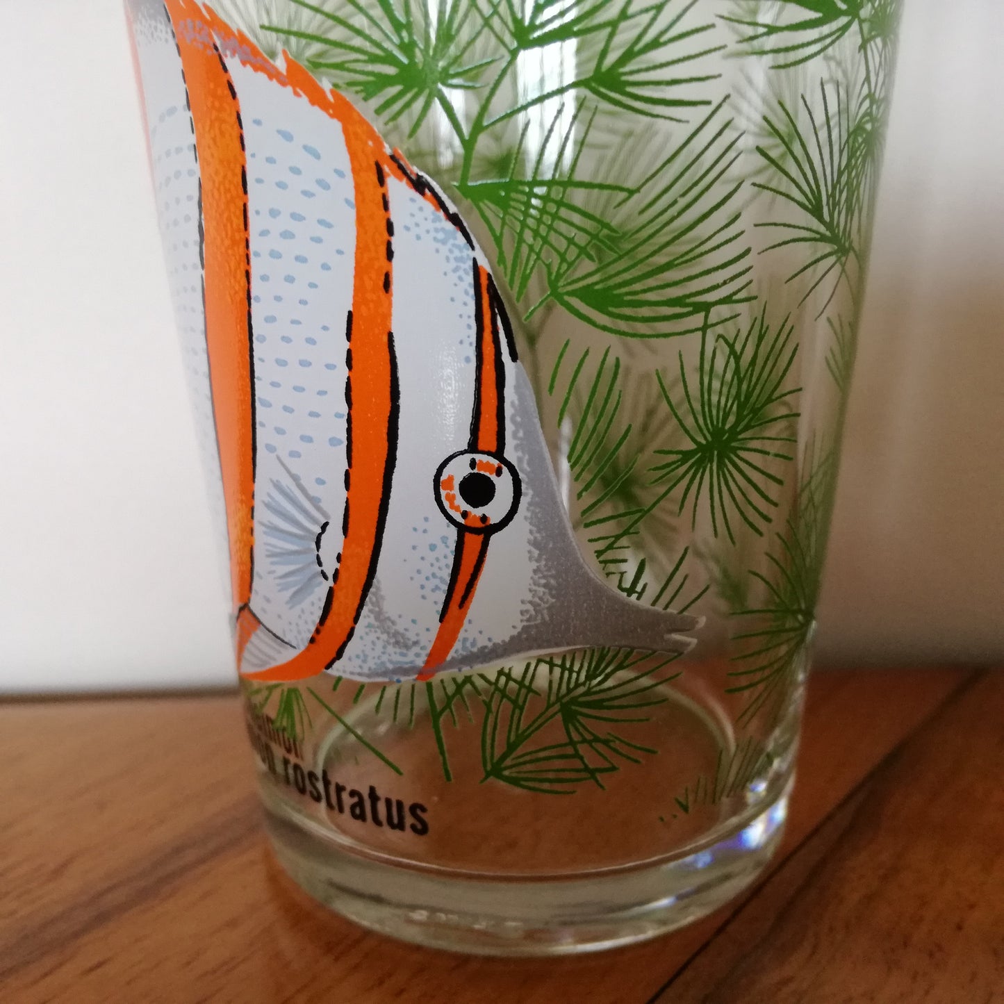 Verre  VMC (Verreries mécaniques champenoises)