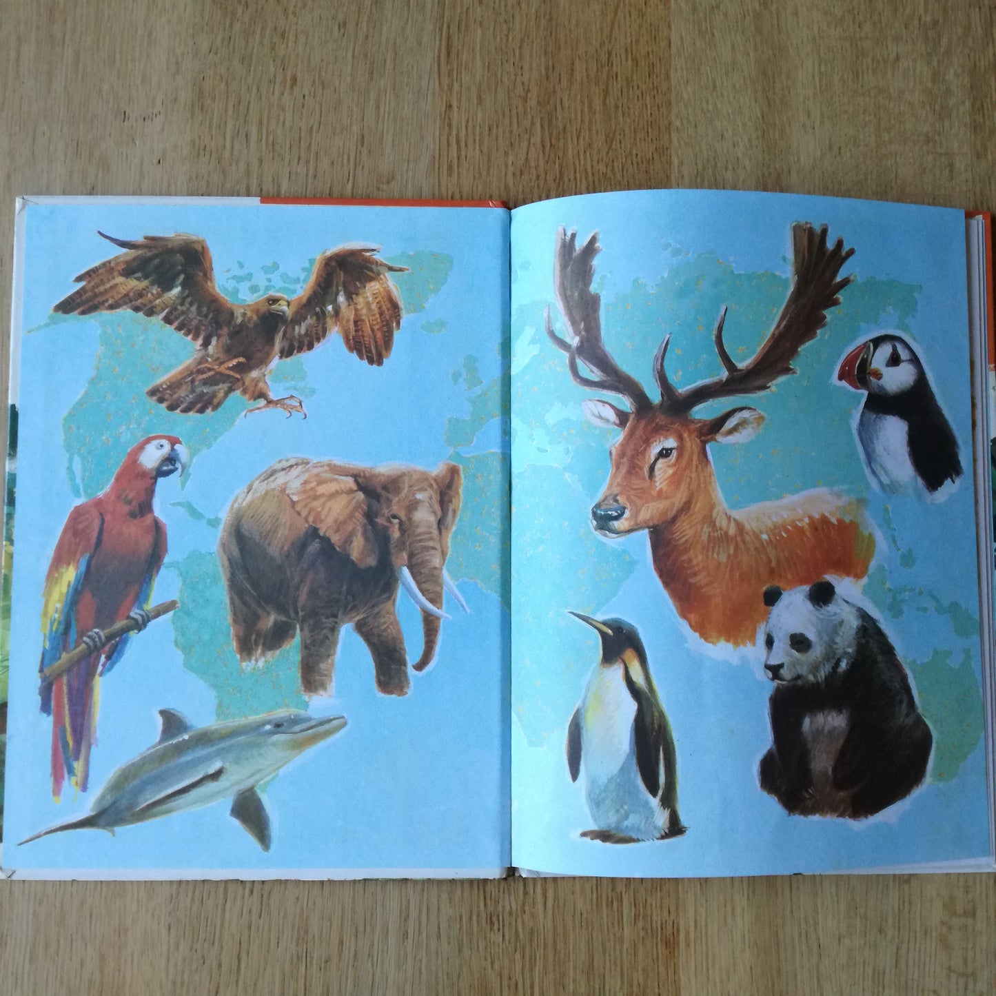 Les animaux de la forêt, Hemma, 1977