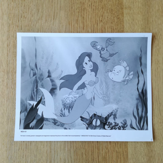 Photo du dessin animé "La Petite Sirène", Walt Disney, 1990