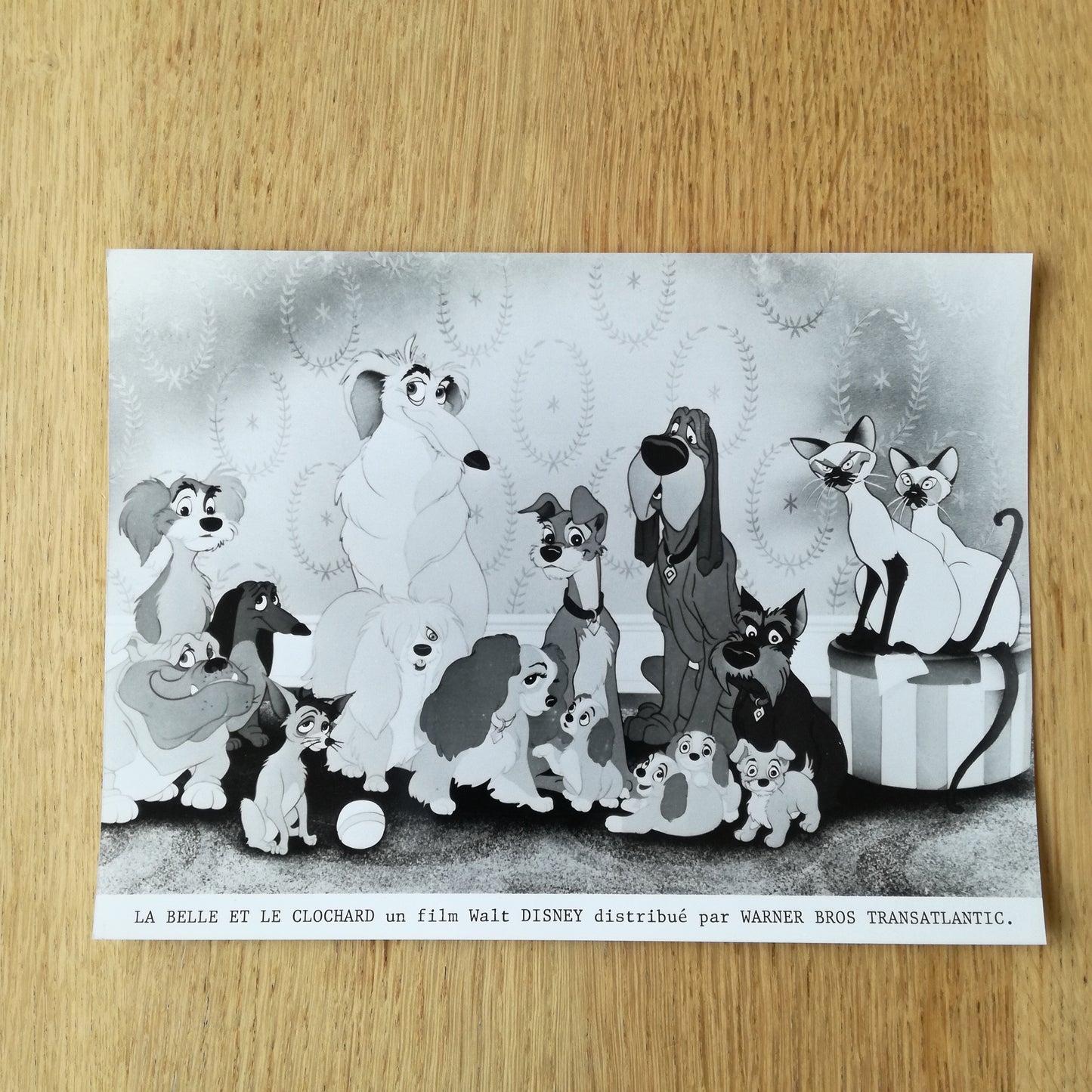 Photo du dessin animé "La Belle et le Clochard", Walt Disney, 1955