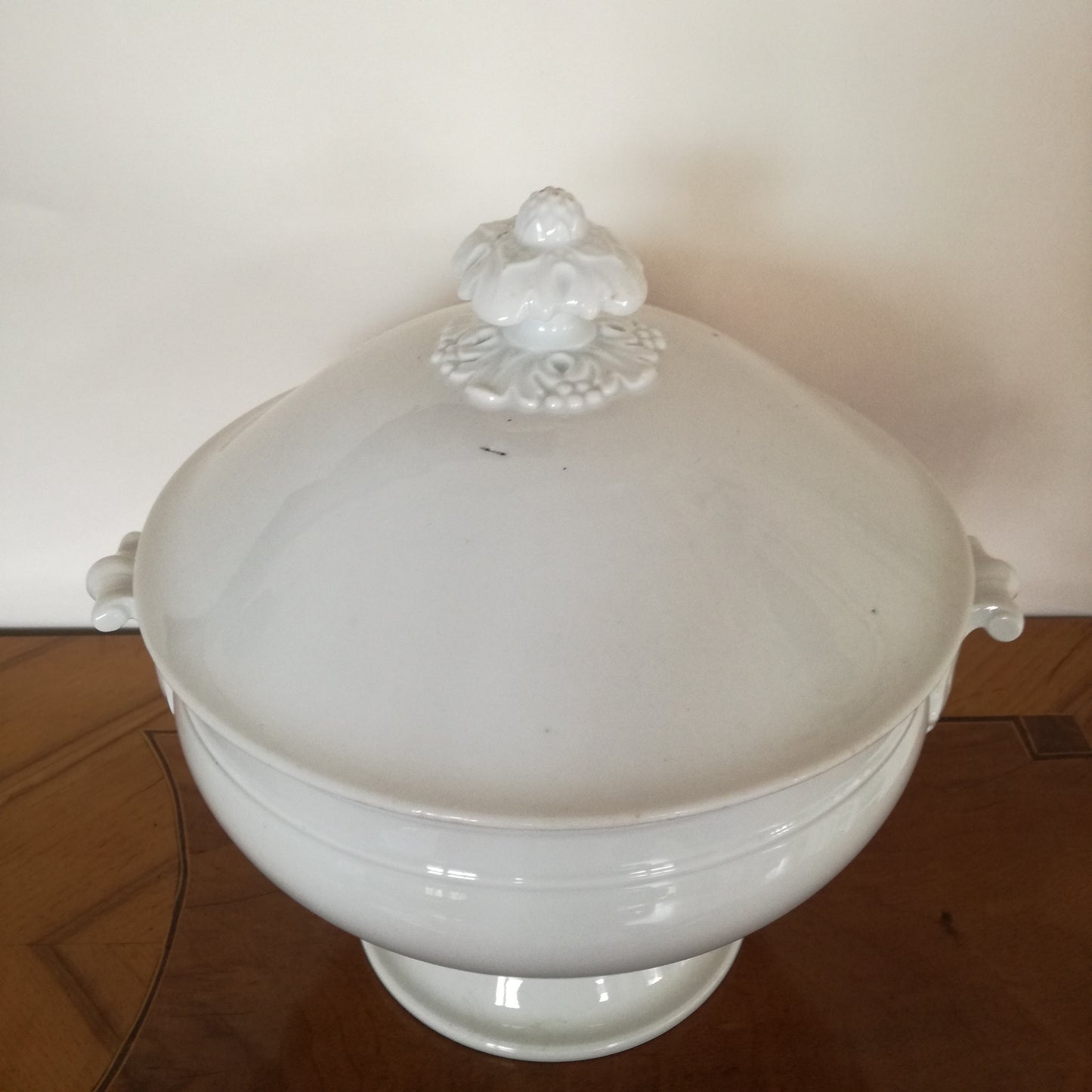 Grande soupière en porcelaine à décor de feuilles d'artichaut