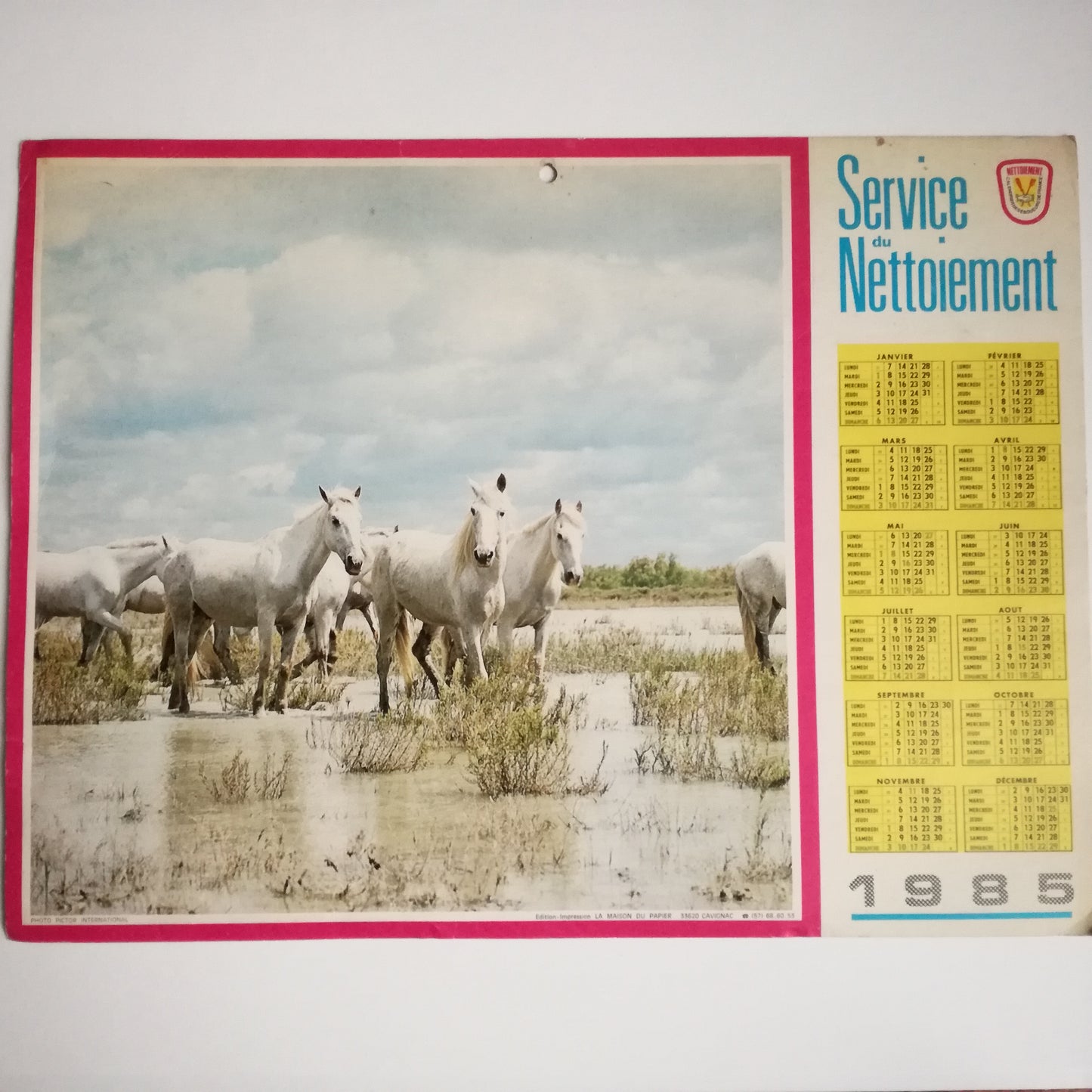 Calendrier almanach année 1985 (chevaux)
