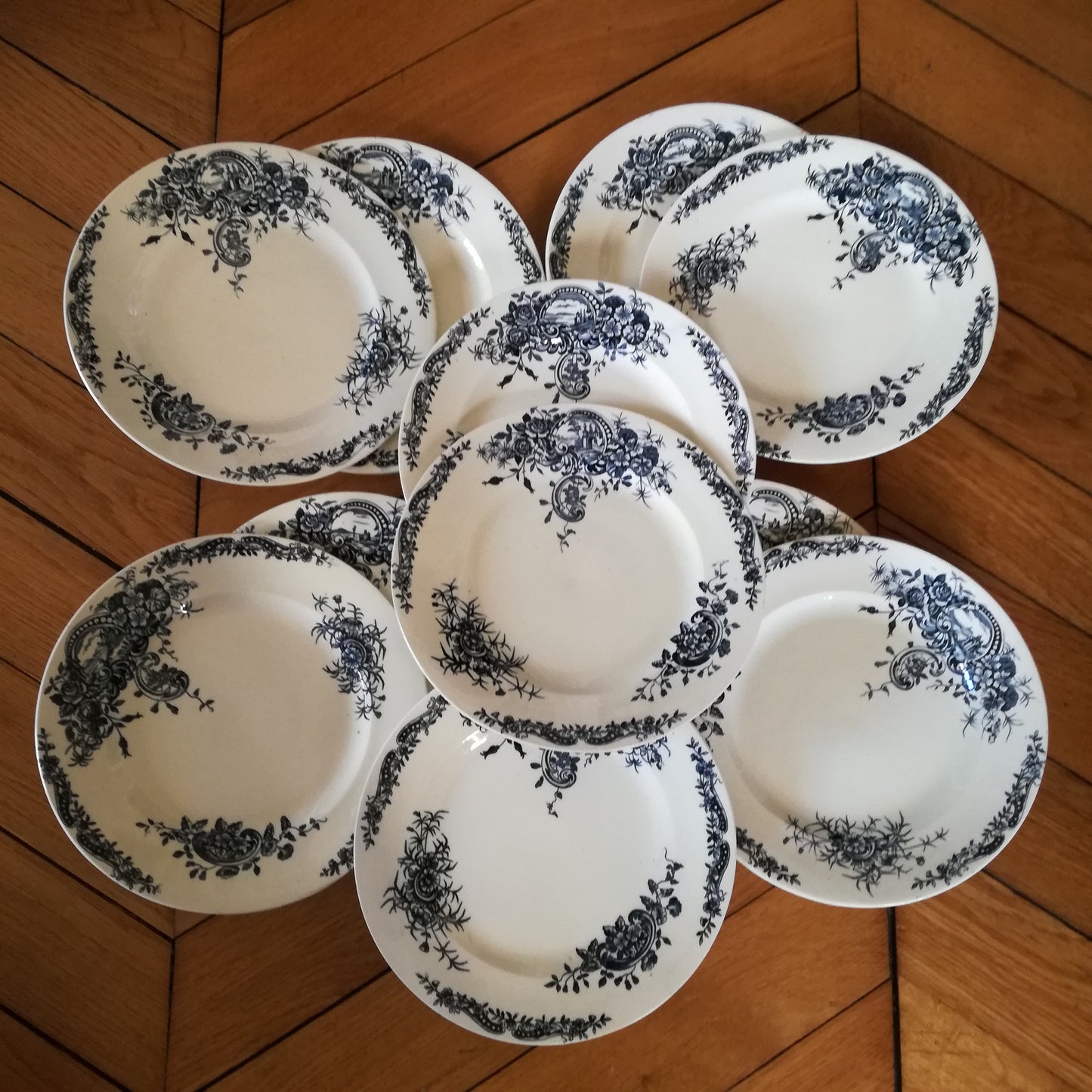 11 assiettes plates en Terre de fer, modèle Rocaille, Salins