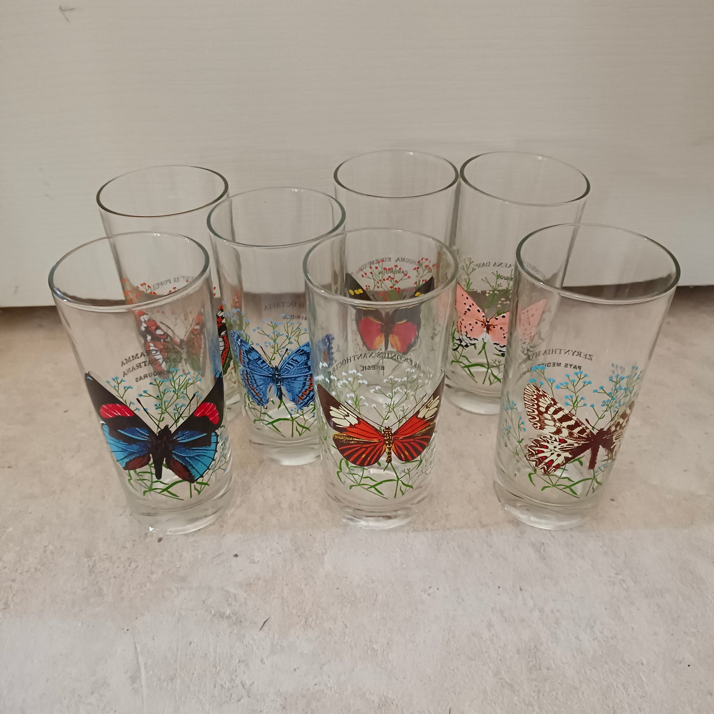 7 grands verres à orangeade papillons du monde - Reims France