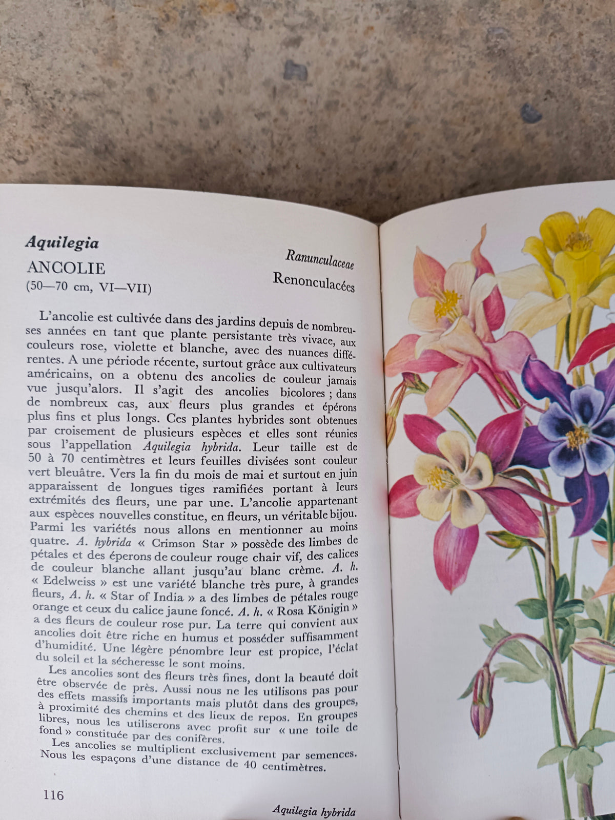 Atlas illustré "Les quatre saisons dans le jardin", Gründ, 1972
