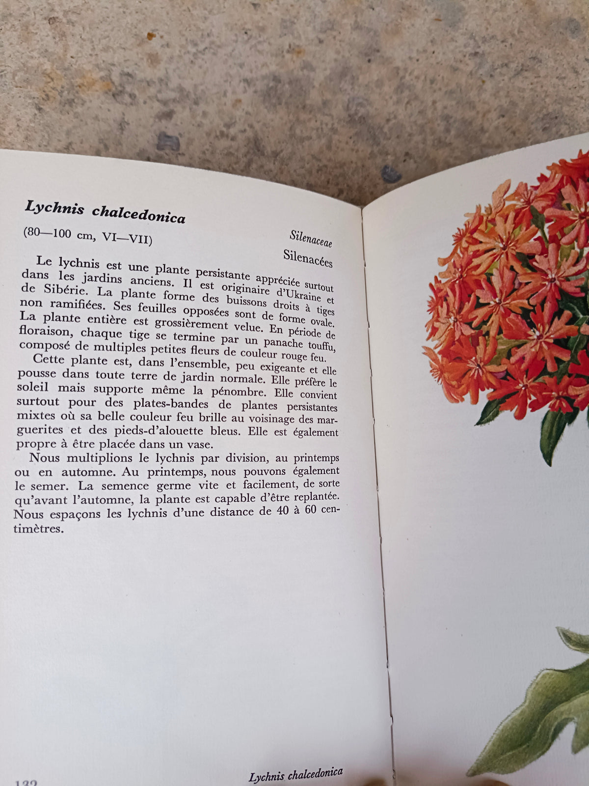 Atlas illustré "Les quatre saisons dans le jardin", Gründ, 1972
