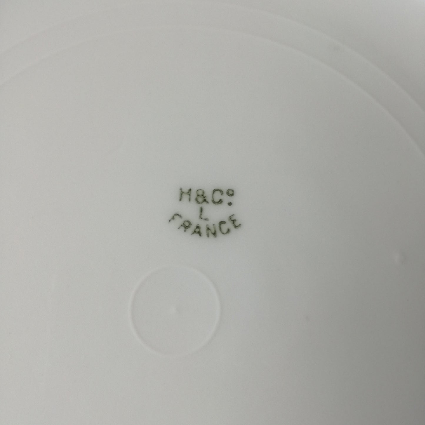 Assiette - grande plate  Limoges - Haviland