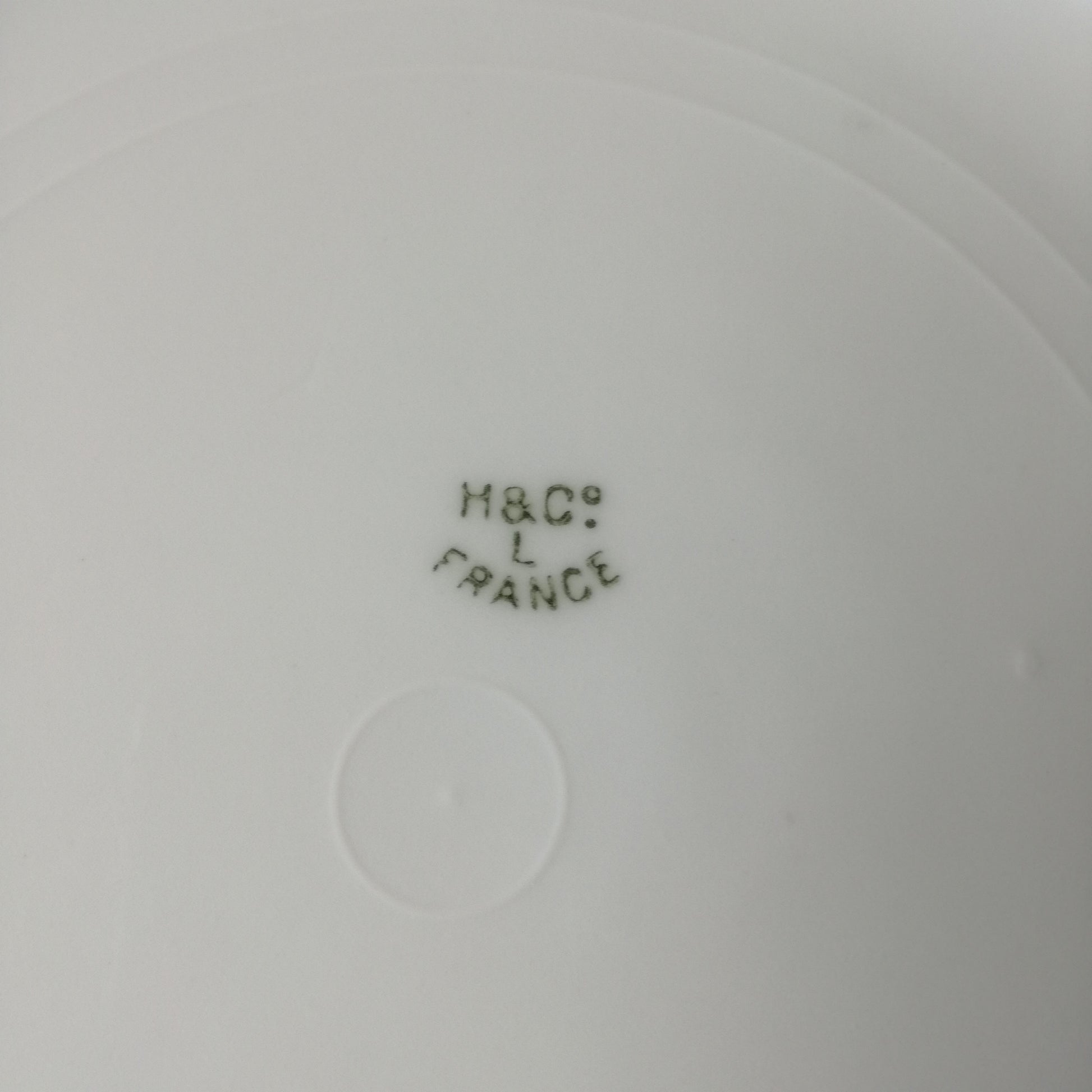 Assiette - grande plate  Limoges - Haviland