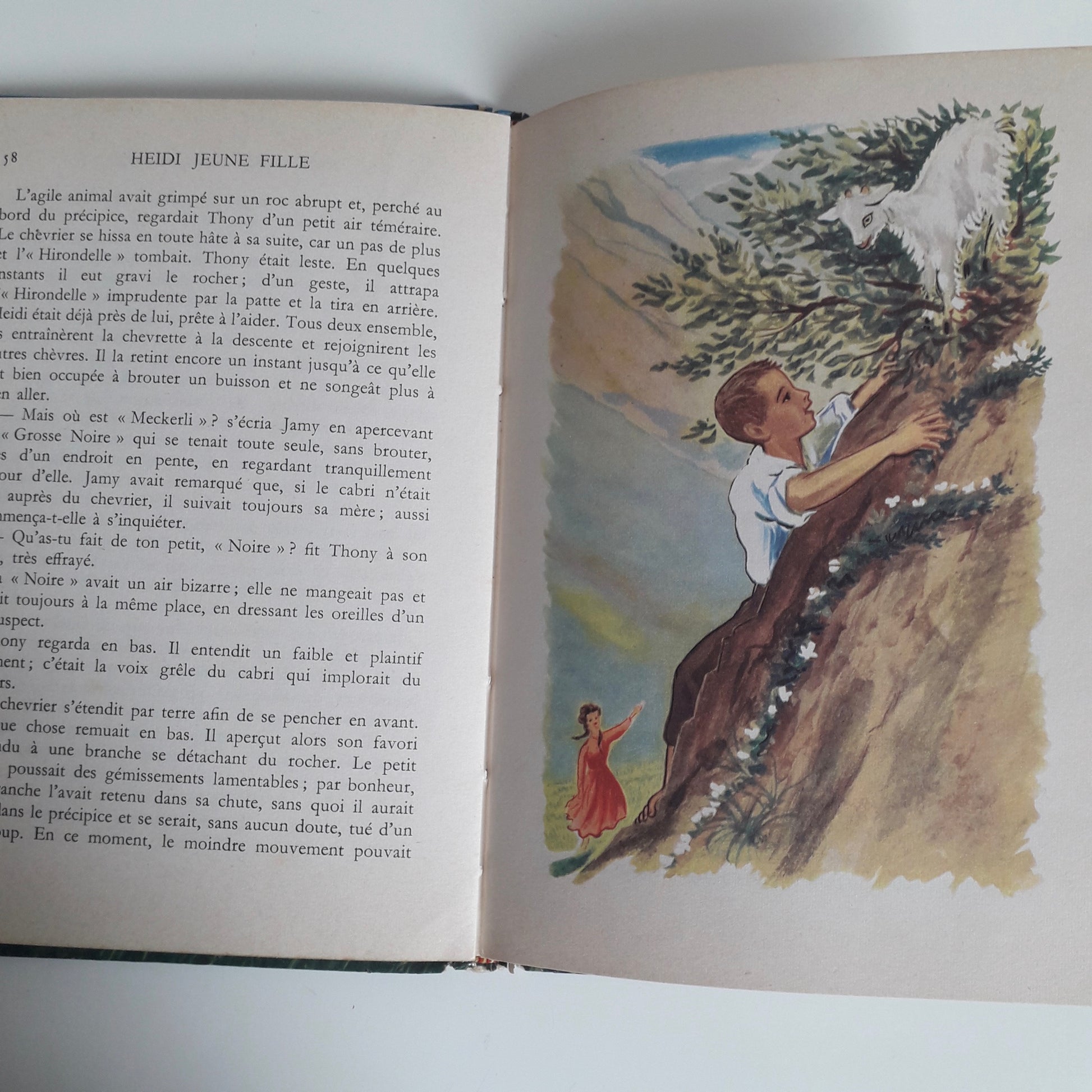 Livre de poche  Flammarion