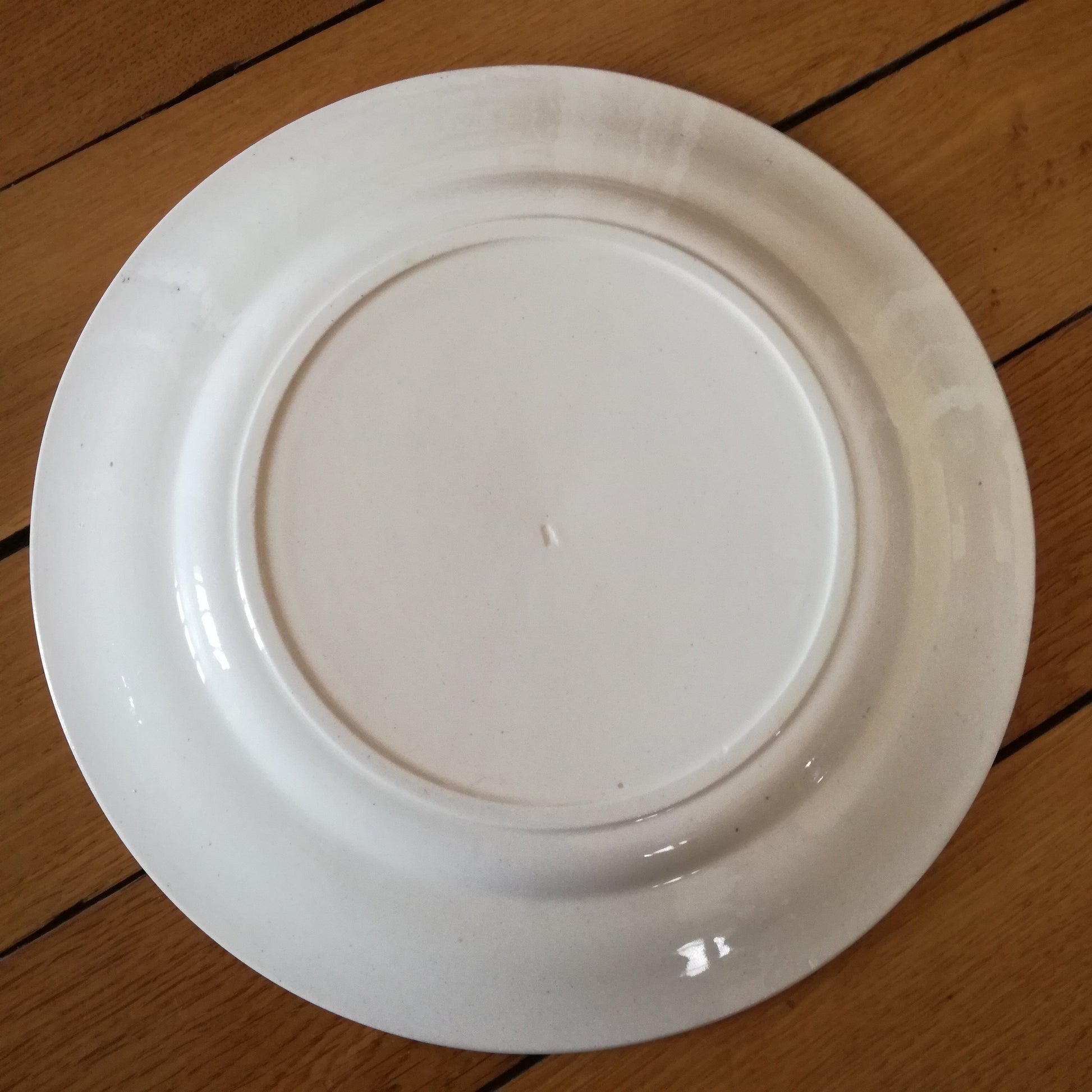 Plat Rocaille Salins