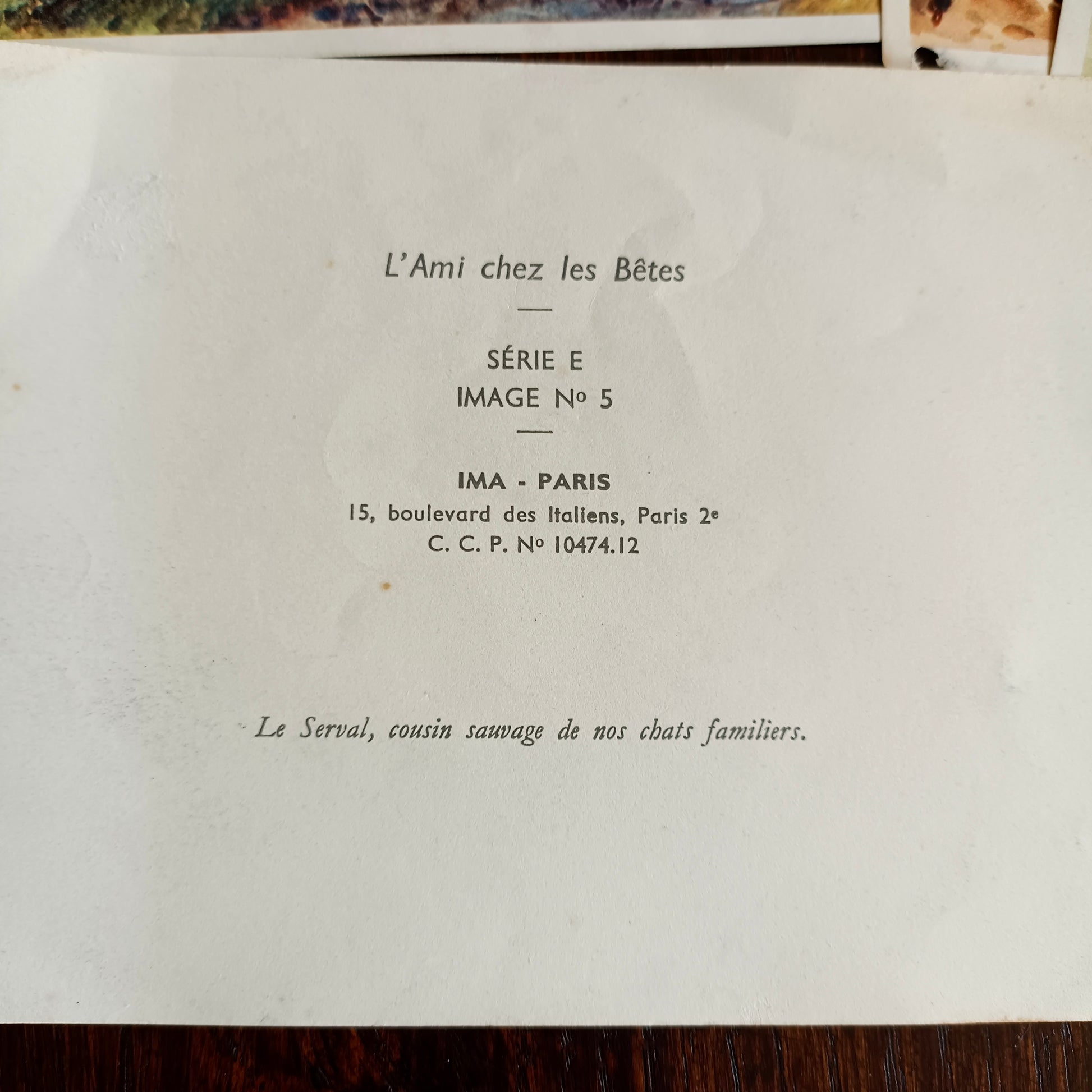 Image L'ami chez les bêtes IMA Éditeur