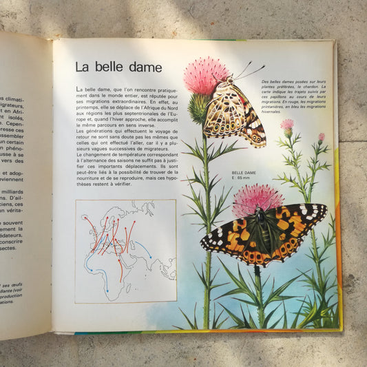 Livre jeunesse Les animaux du monde entier Deux Coqs d'Or