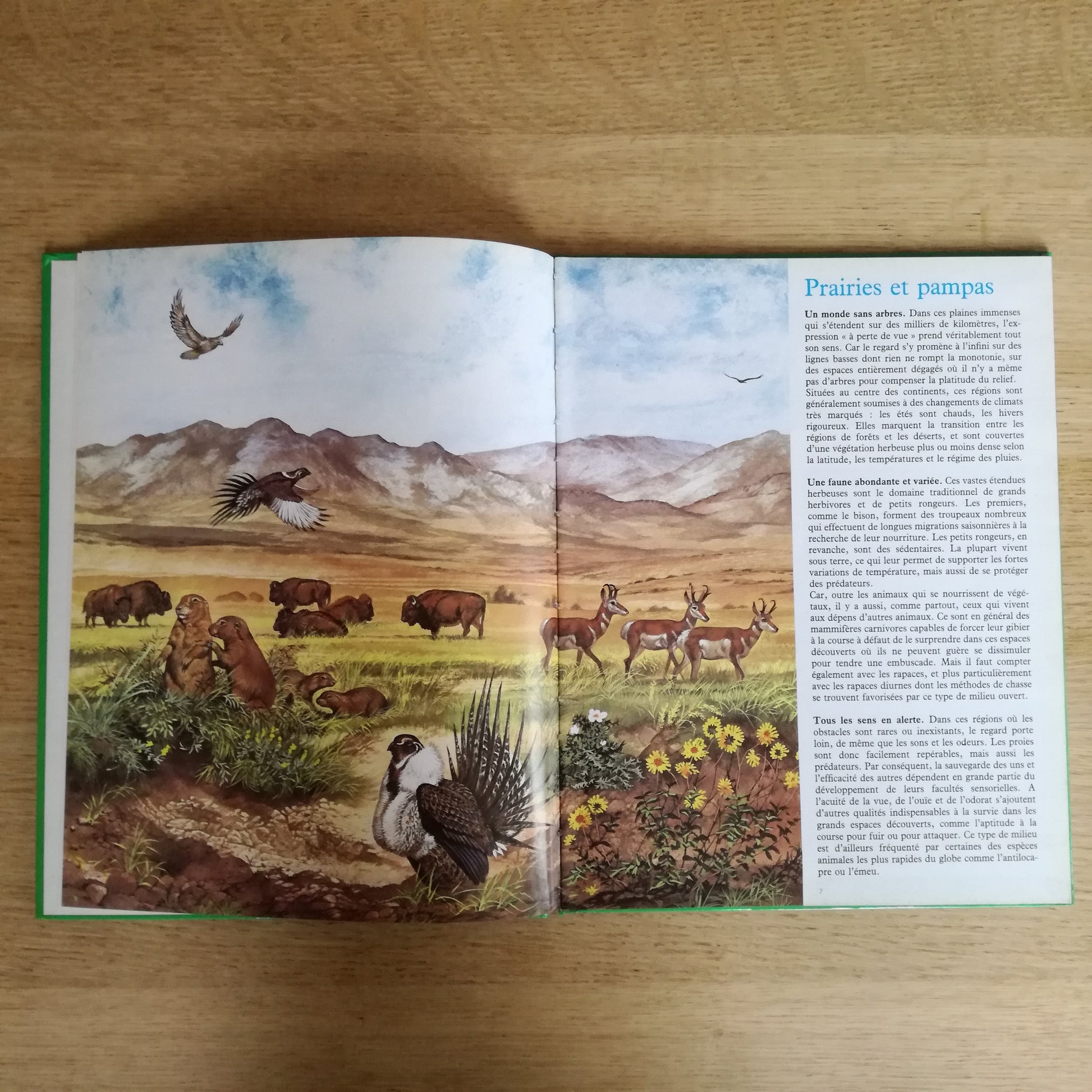 Livre jeunesse La vie secrète des bêtes Hachette