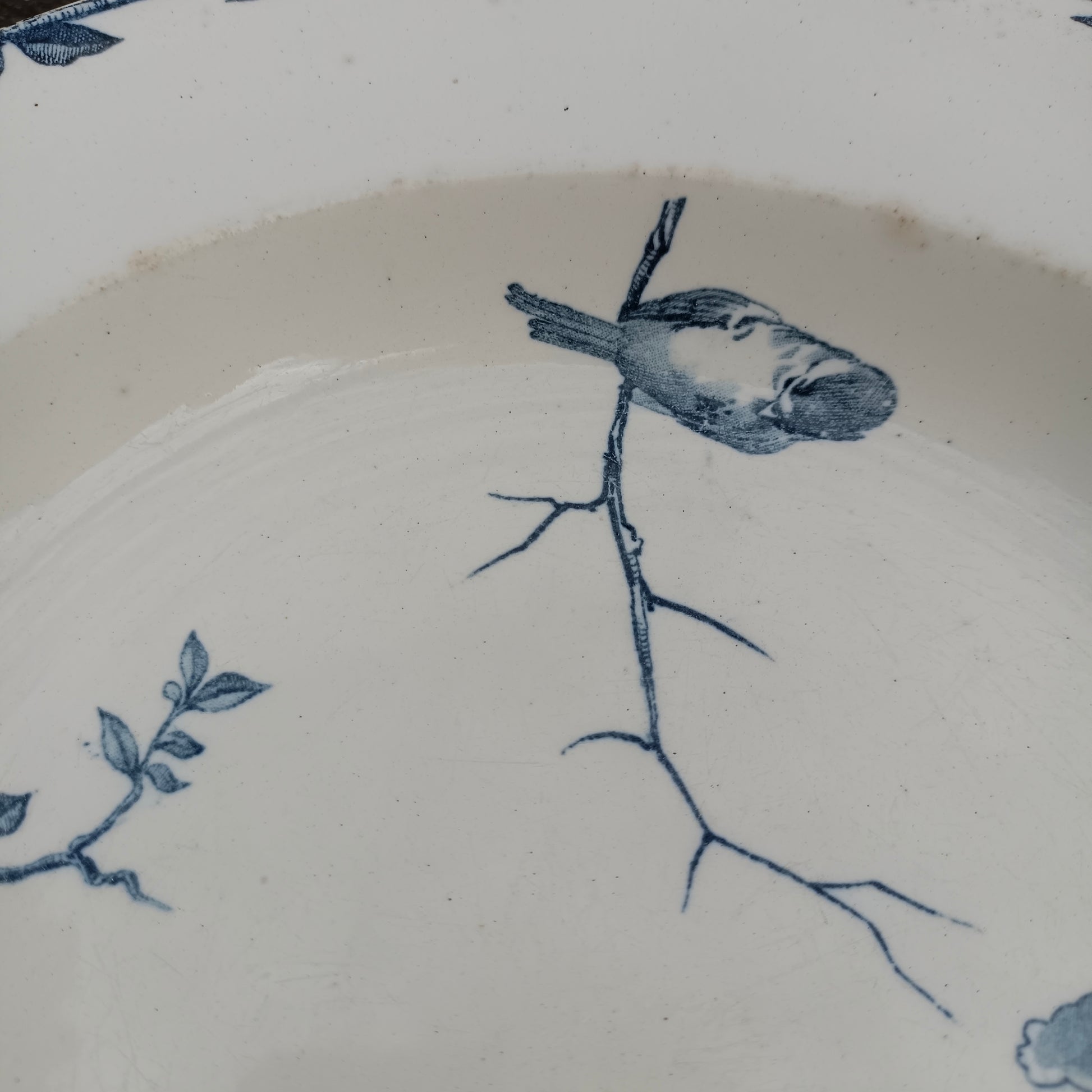 Assiette - creuse / calotte Oxford Choisy le Roi - HB & Cie (Hautin Boulenger)
