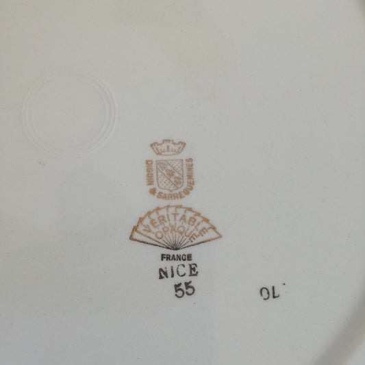 Plat Nice Digoin & Sarreguemines