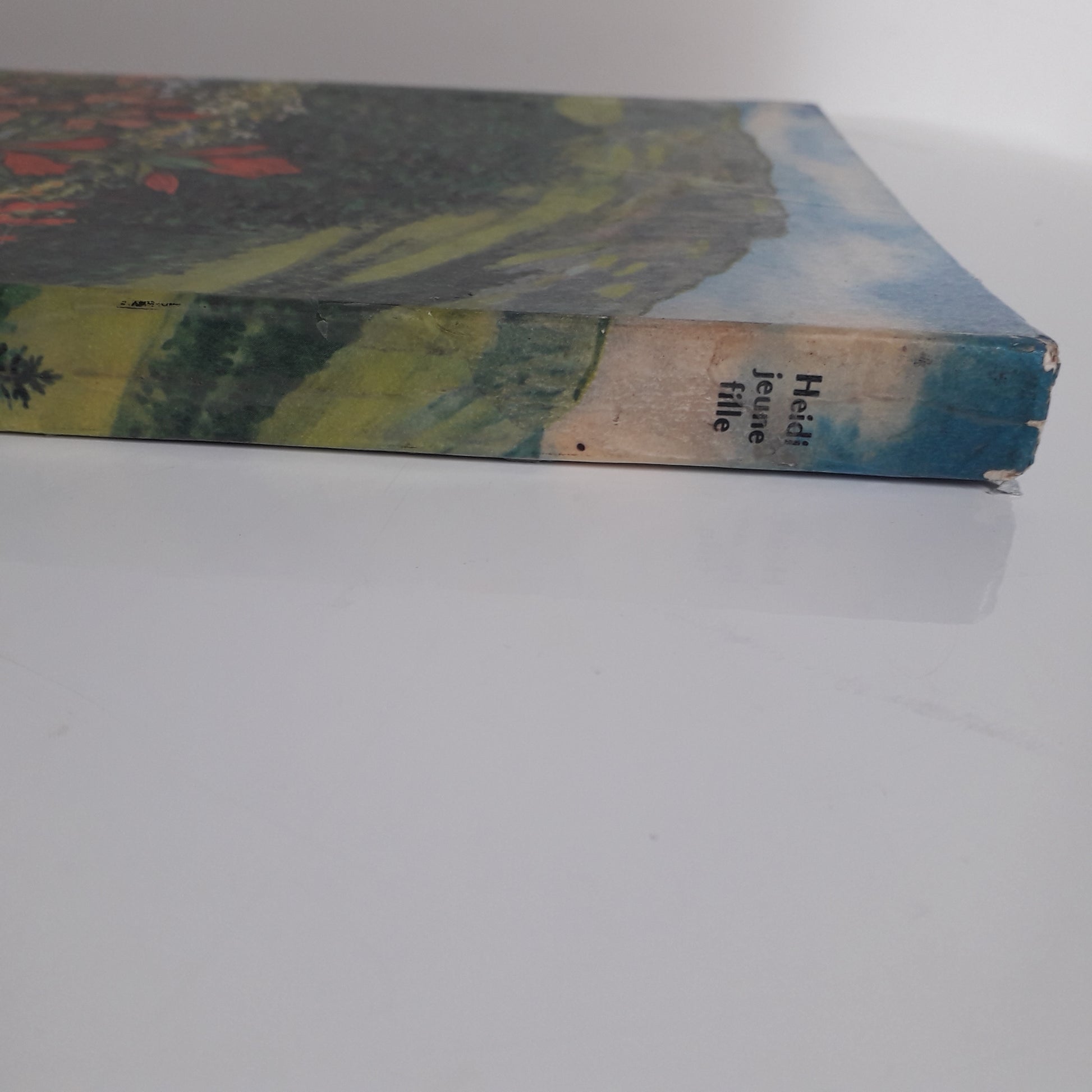 Livre de poche  Flammarion