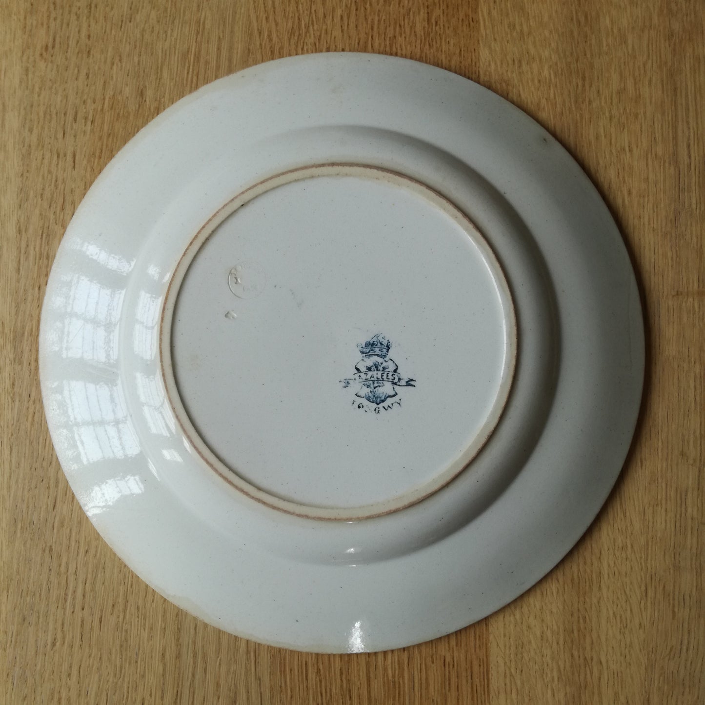 Plat Azalées Longwy