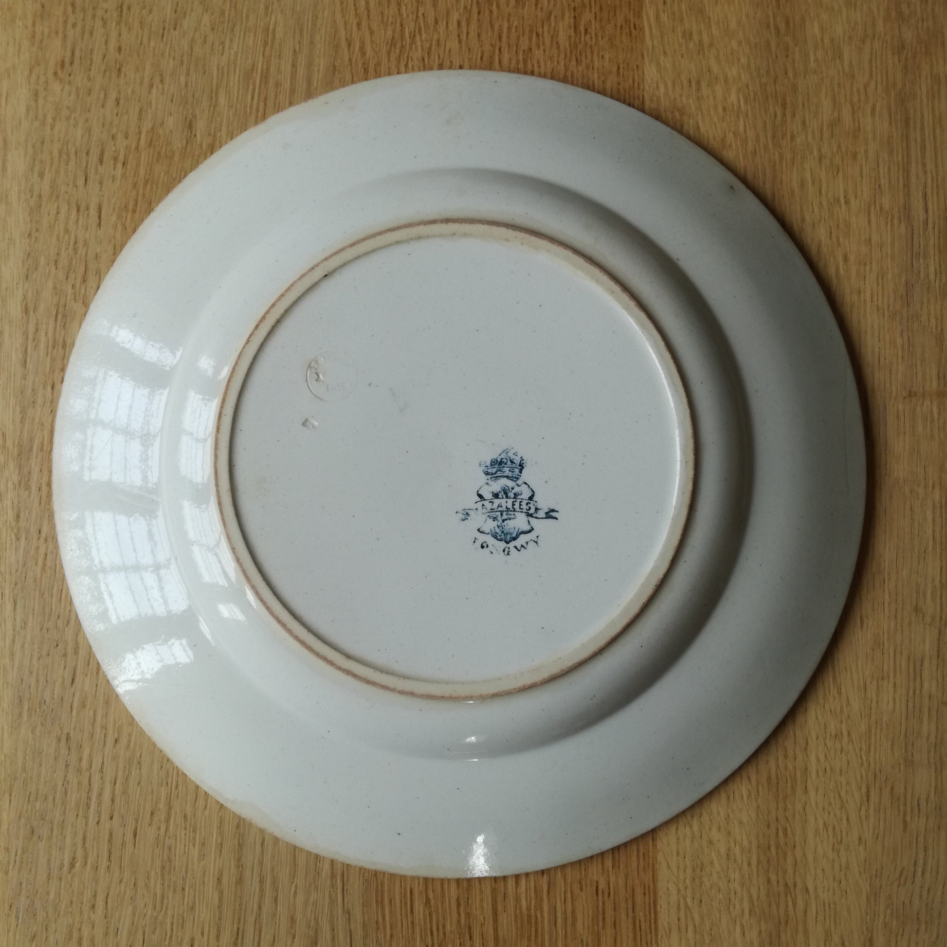Plat Azalées Longwy