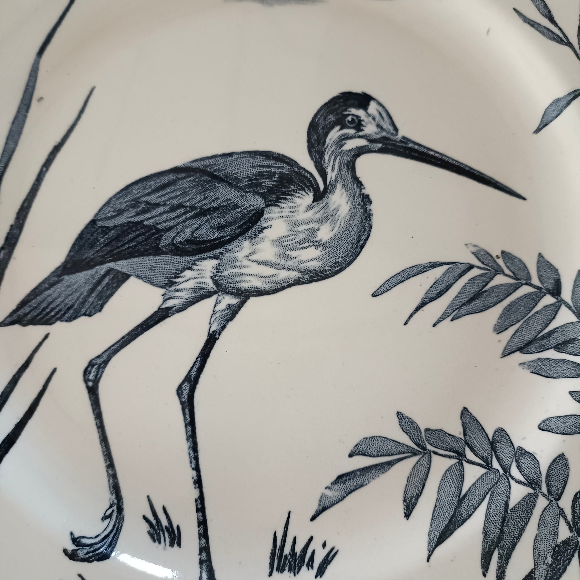 Assiette - grande plate  Lunéville (K & G - Keller & Guérin)