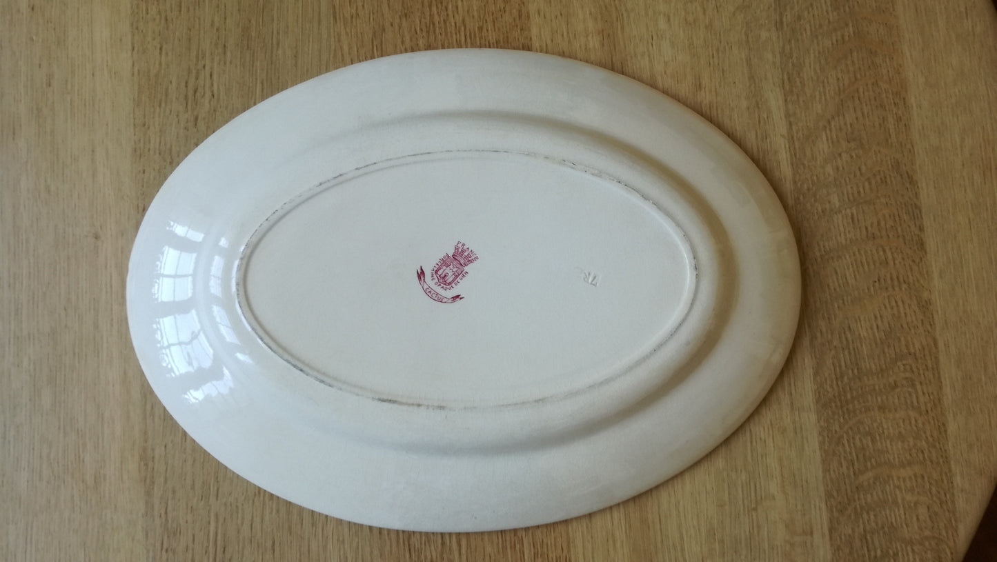 Plat ovale Cactus Gien