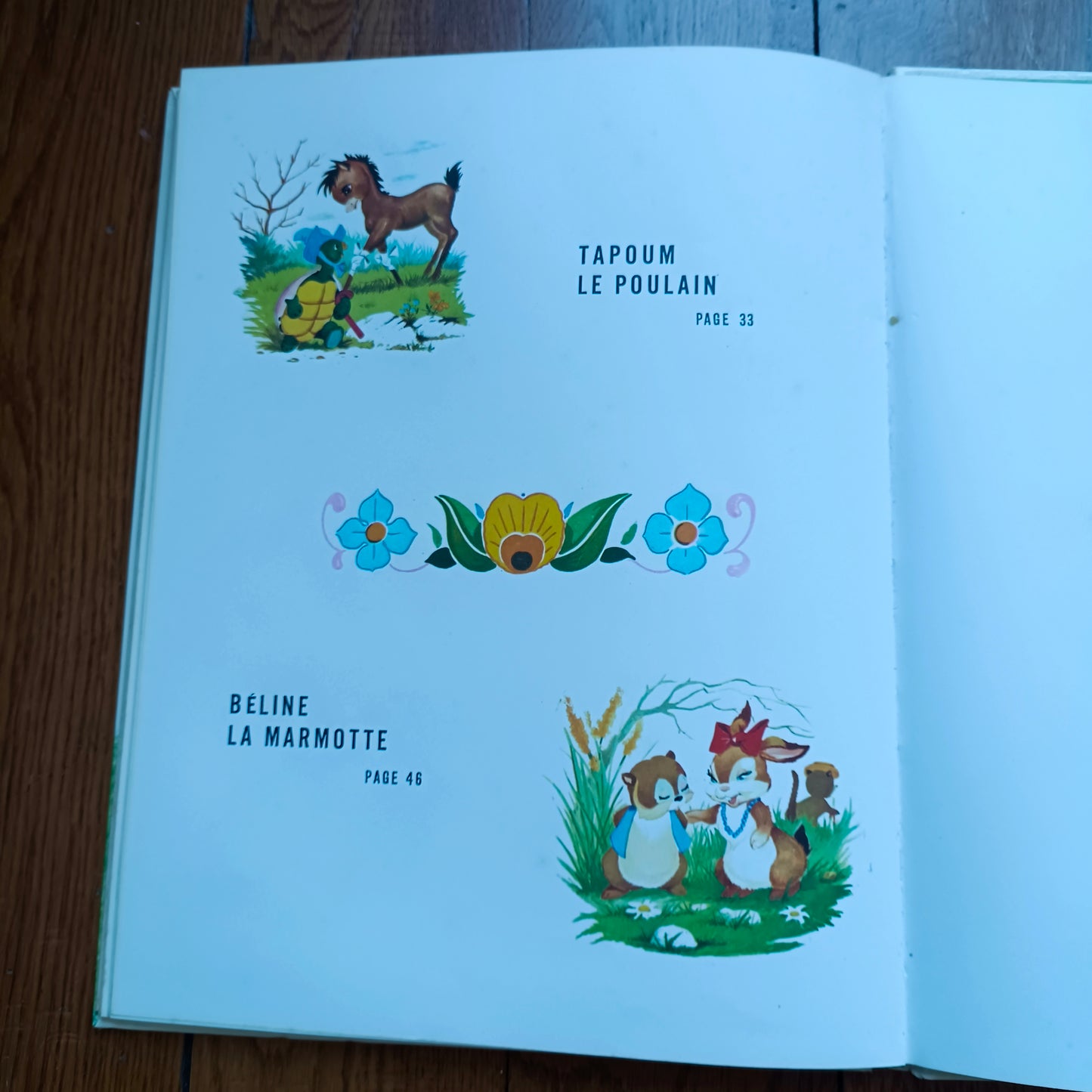 Livre jeunesse Premier Envol Arnaud