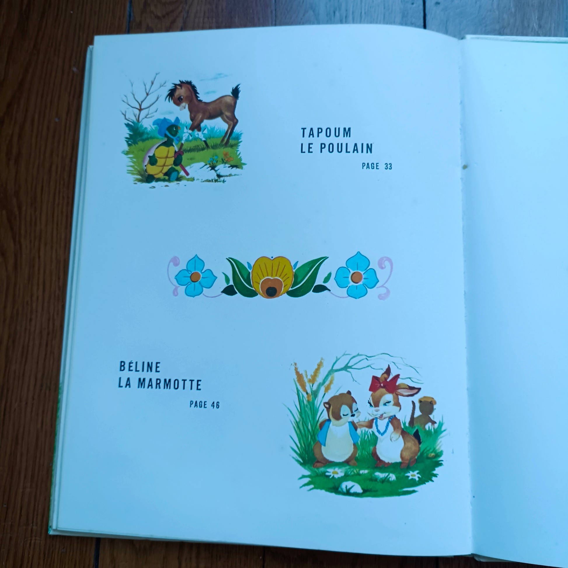 Livre jeunesse Premier Envol Arnaud
