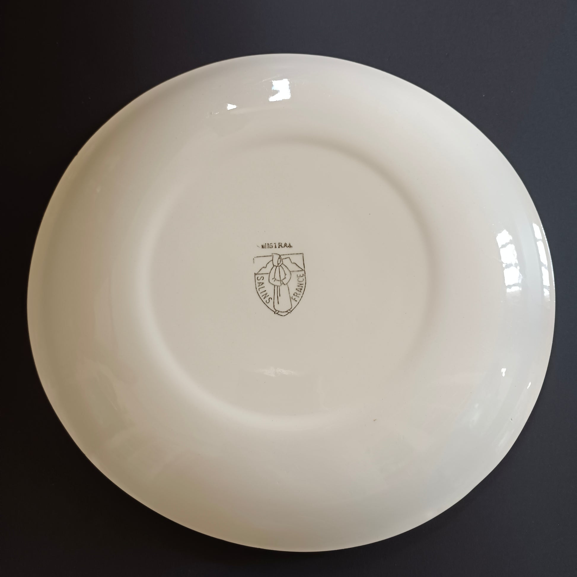Plat Mistral Salins