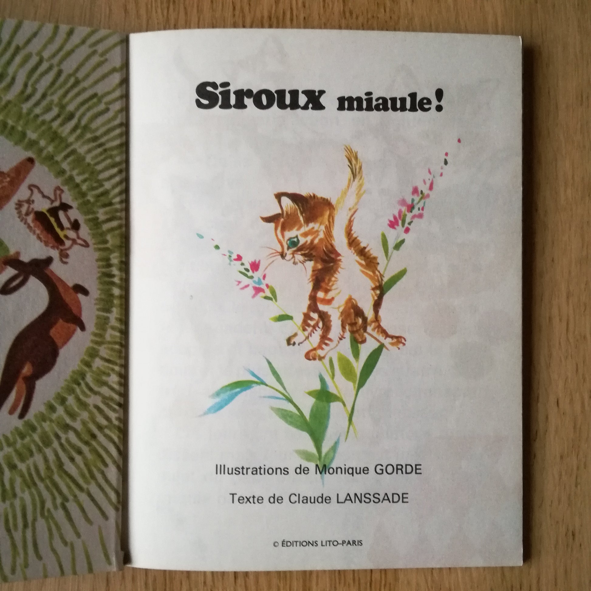 Livre jeunesse La ronde des animaux Lito