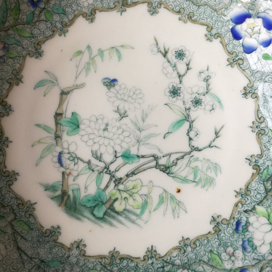 Coupelle 2642 Minton (GB)