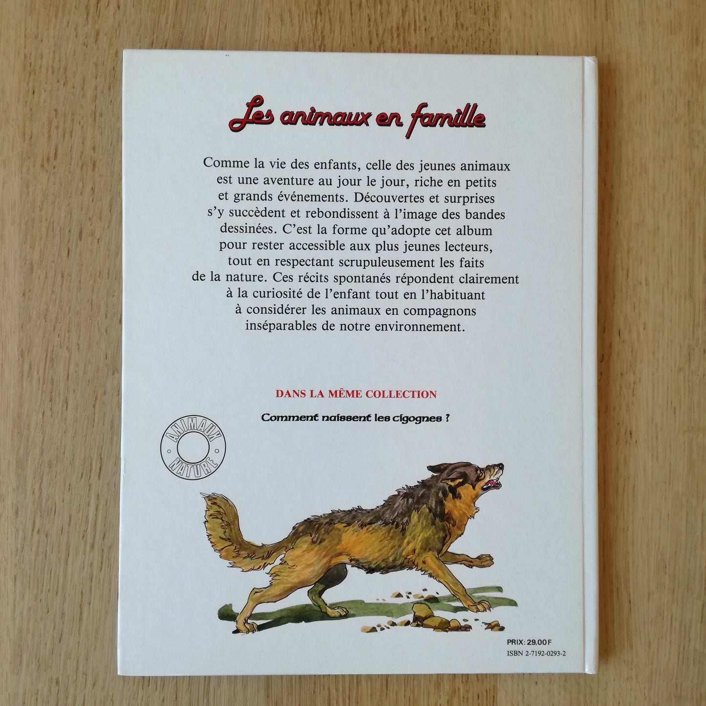 Livre jeunesse Les animaux en famille 