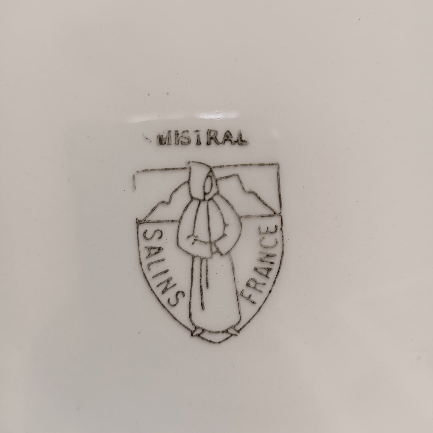 Plat Mistral Salins