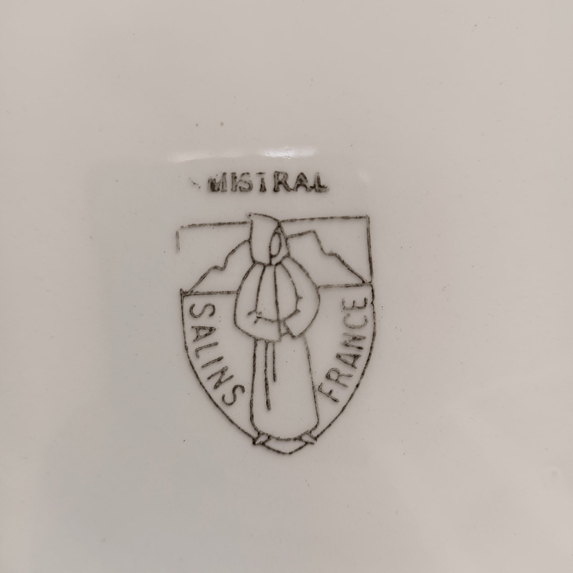 Plat Mistral Salins