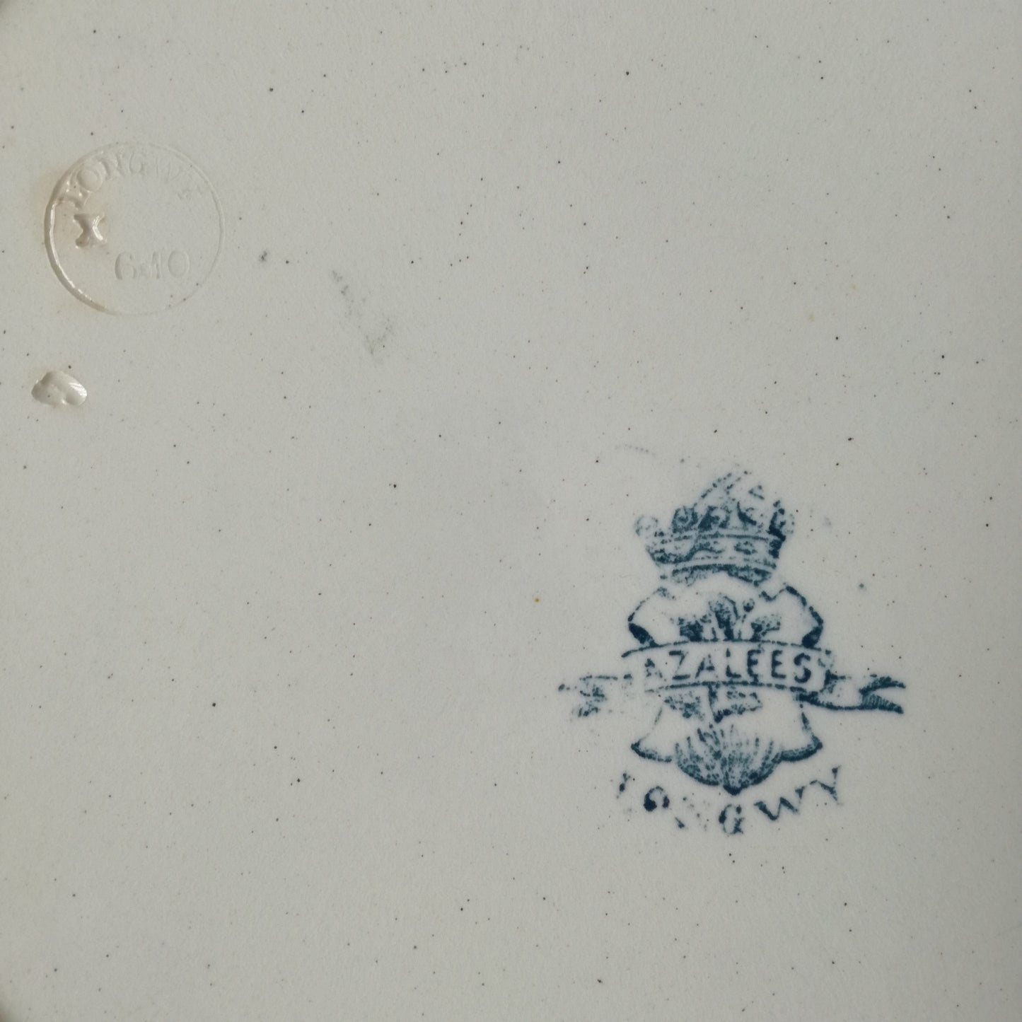 Plat Azalées Longwy
