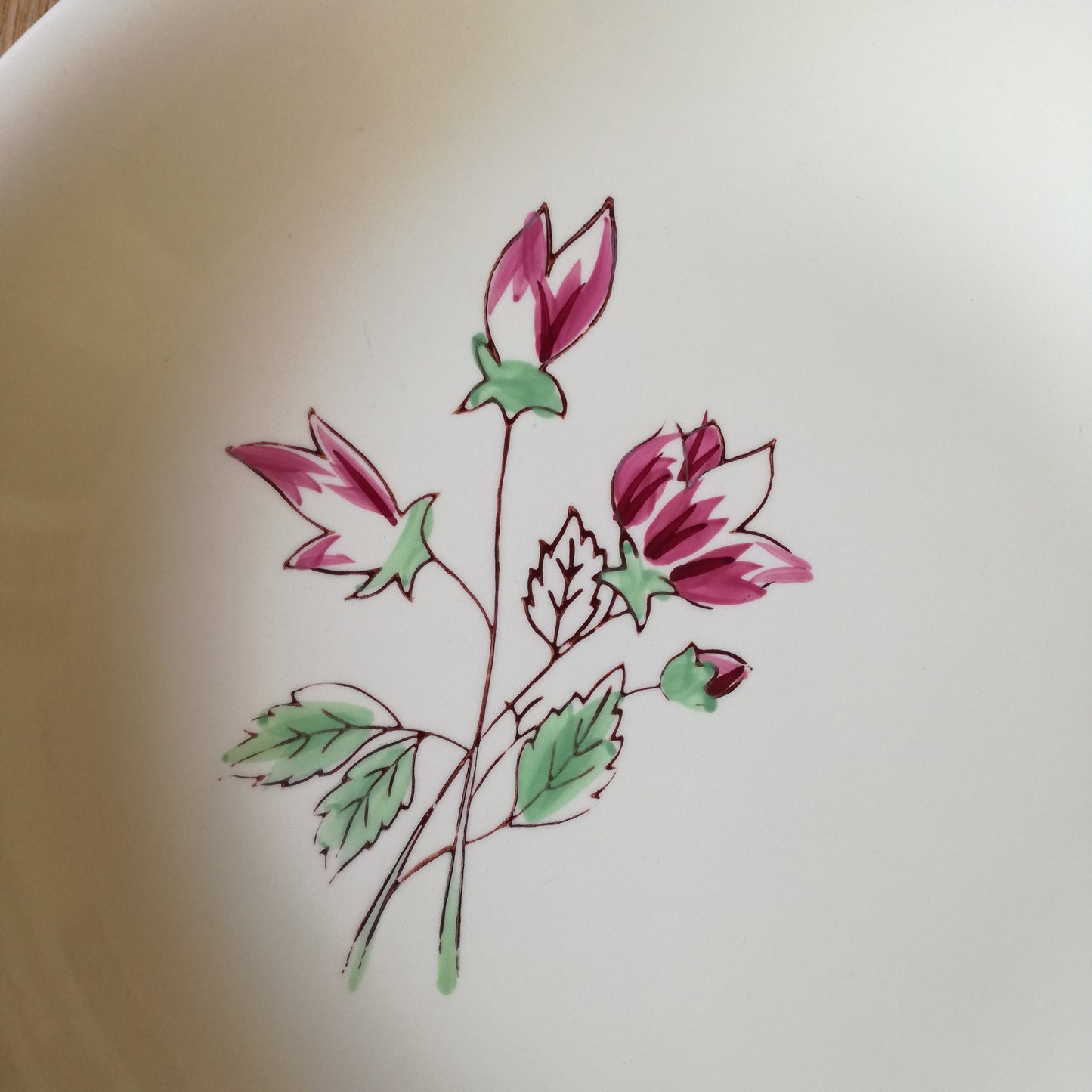 Plat Rose Éric Salins