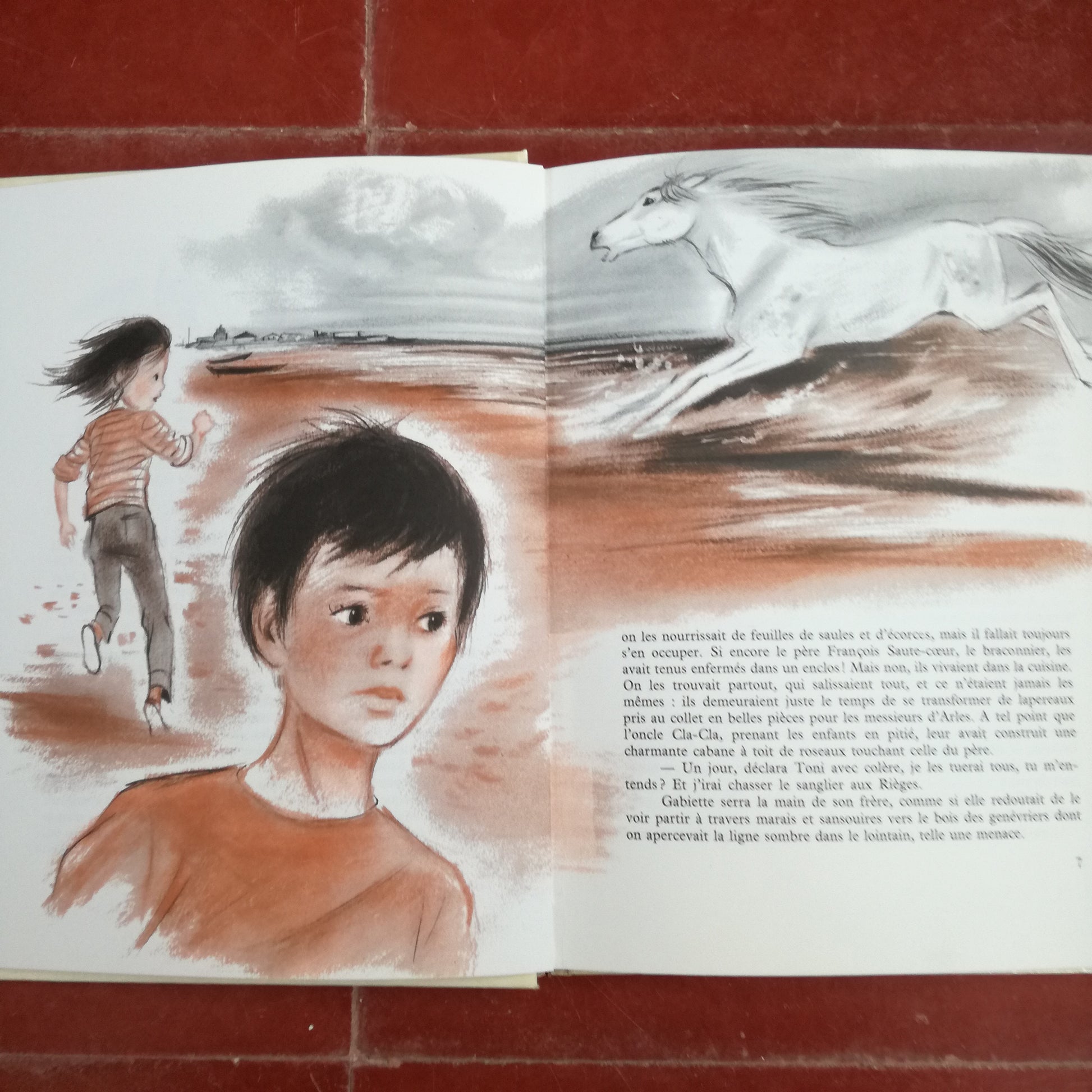 Livre jeunesse  Delagrave