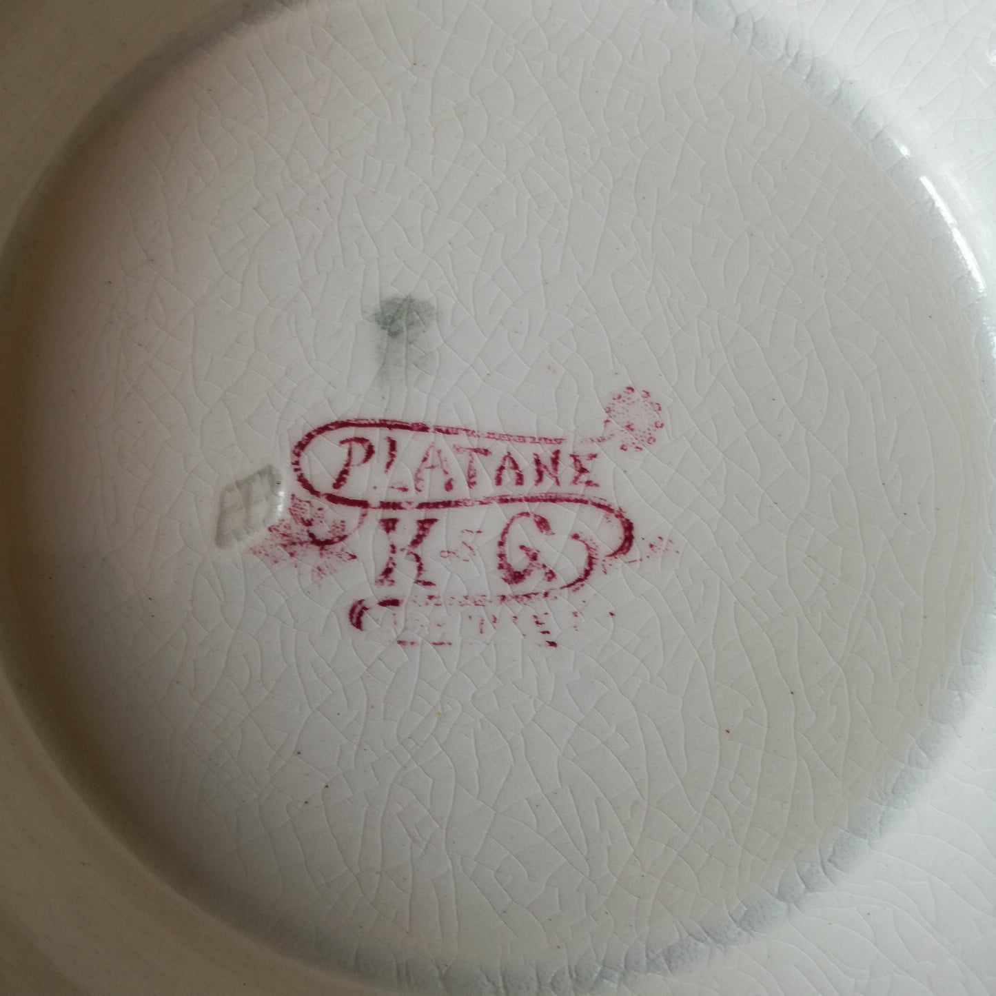 Plat sur pied Platane Lunéville (K & G - Keller & Guérin)