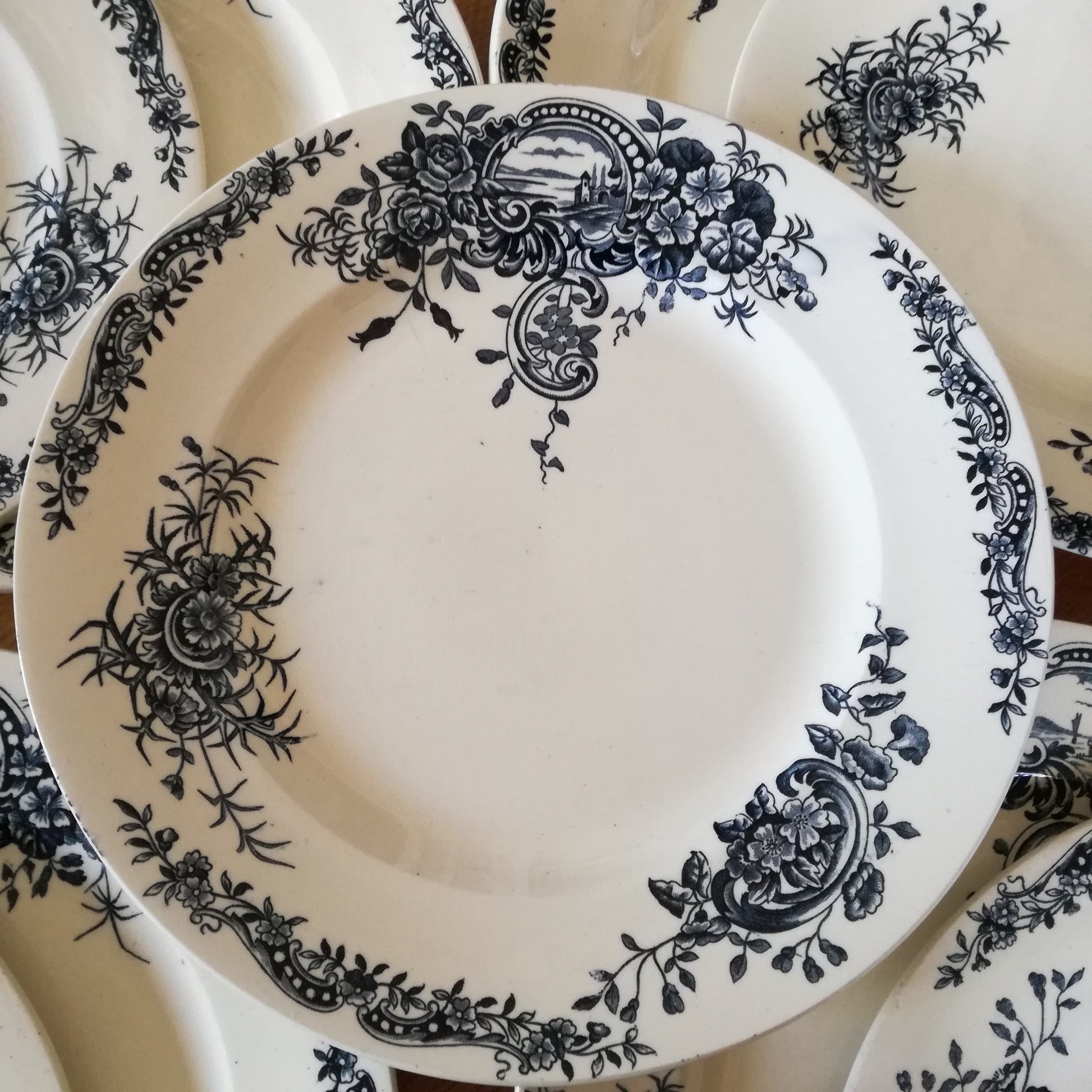 Assiette - grande plate Rocaille Salins