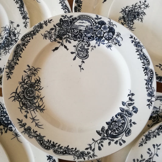 Assiette - grande plate Rocaille Salins