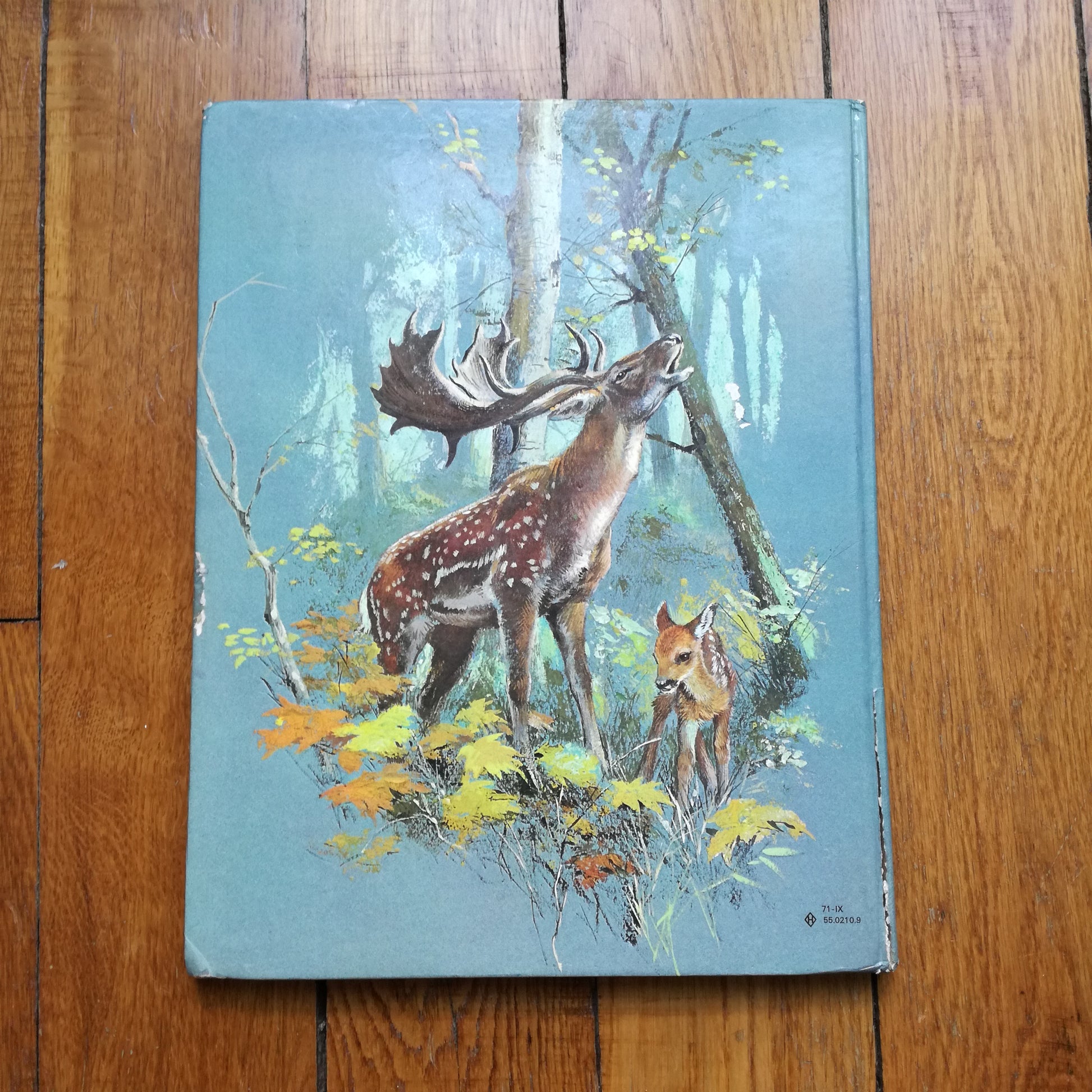 Livre jeunesse Bébés animaux des 5 continents Odège
