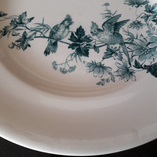 Assiette Mignon Longwy