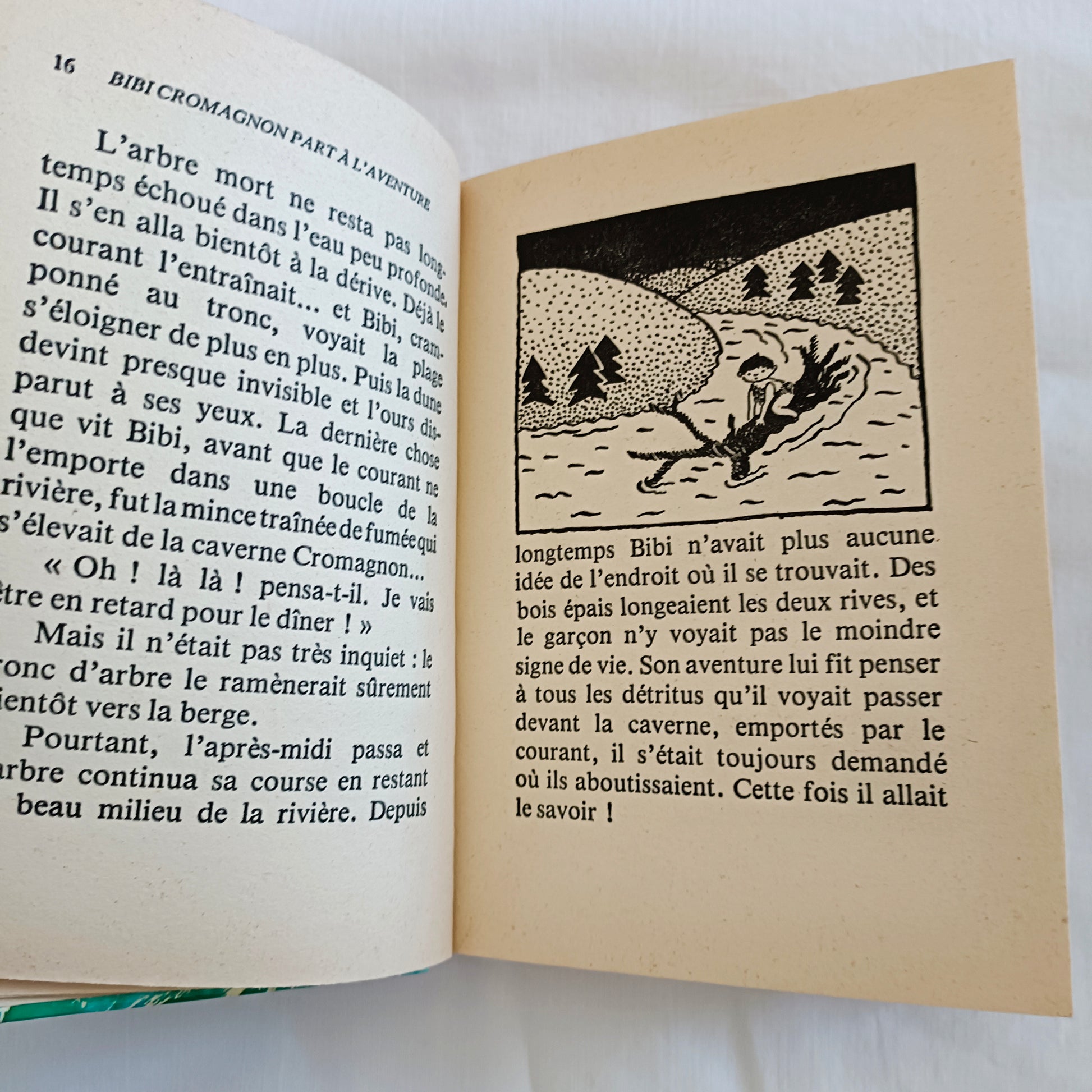 Livre jeunesse Bibliothèque Rose Hachette