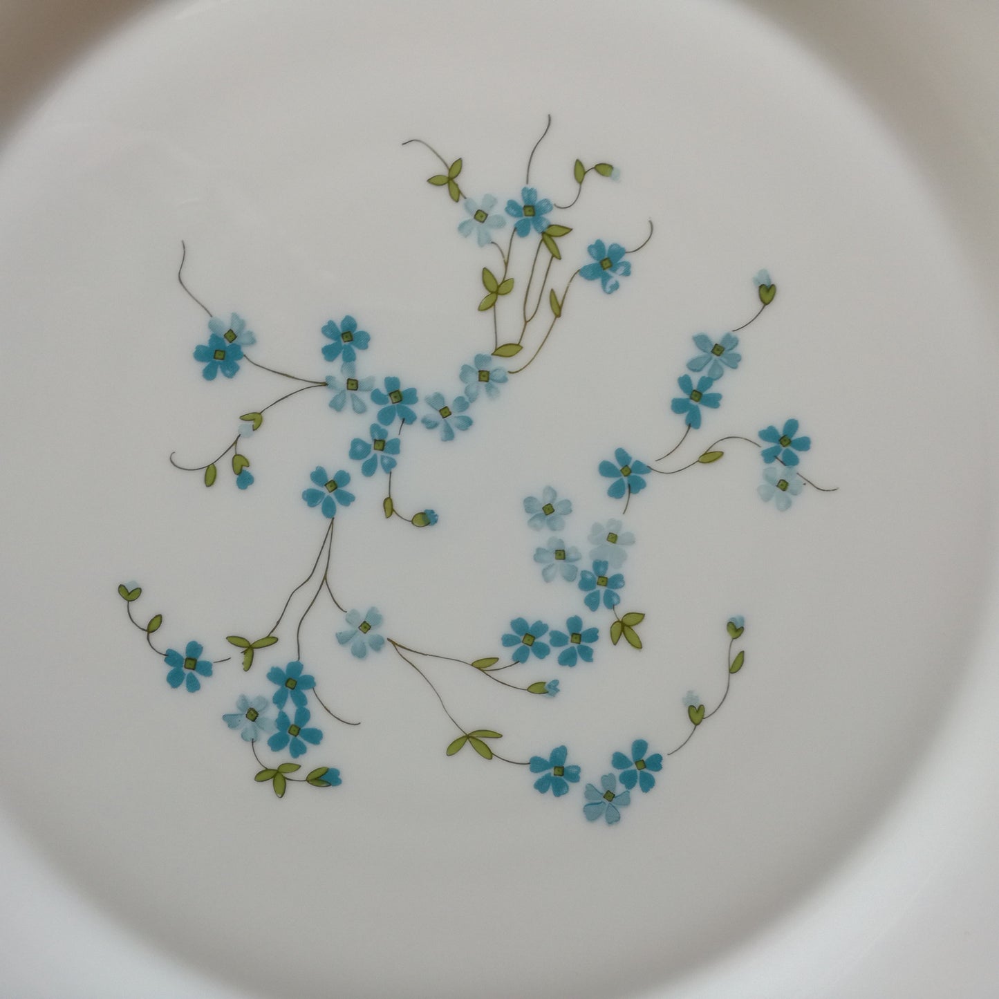 Plat Veronica Arcopal