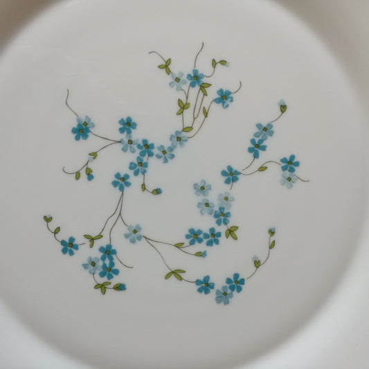 Plat Veronica Arcopal