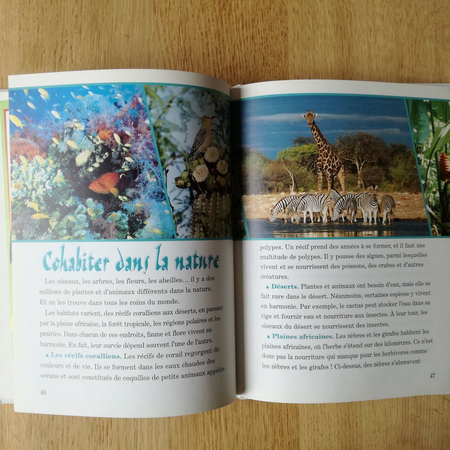 Livre jeunesse Mickey - Club du Livre Grolier