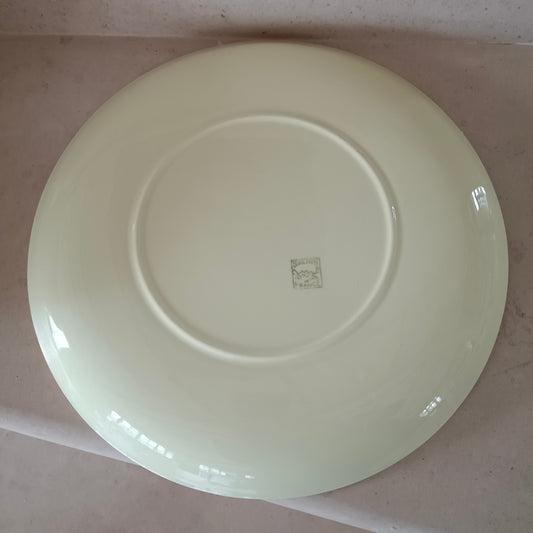 Plat  Salins