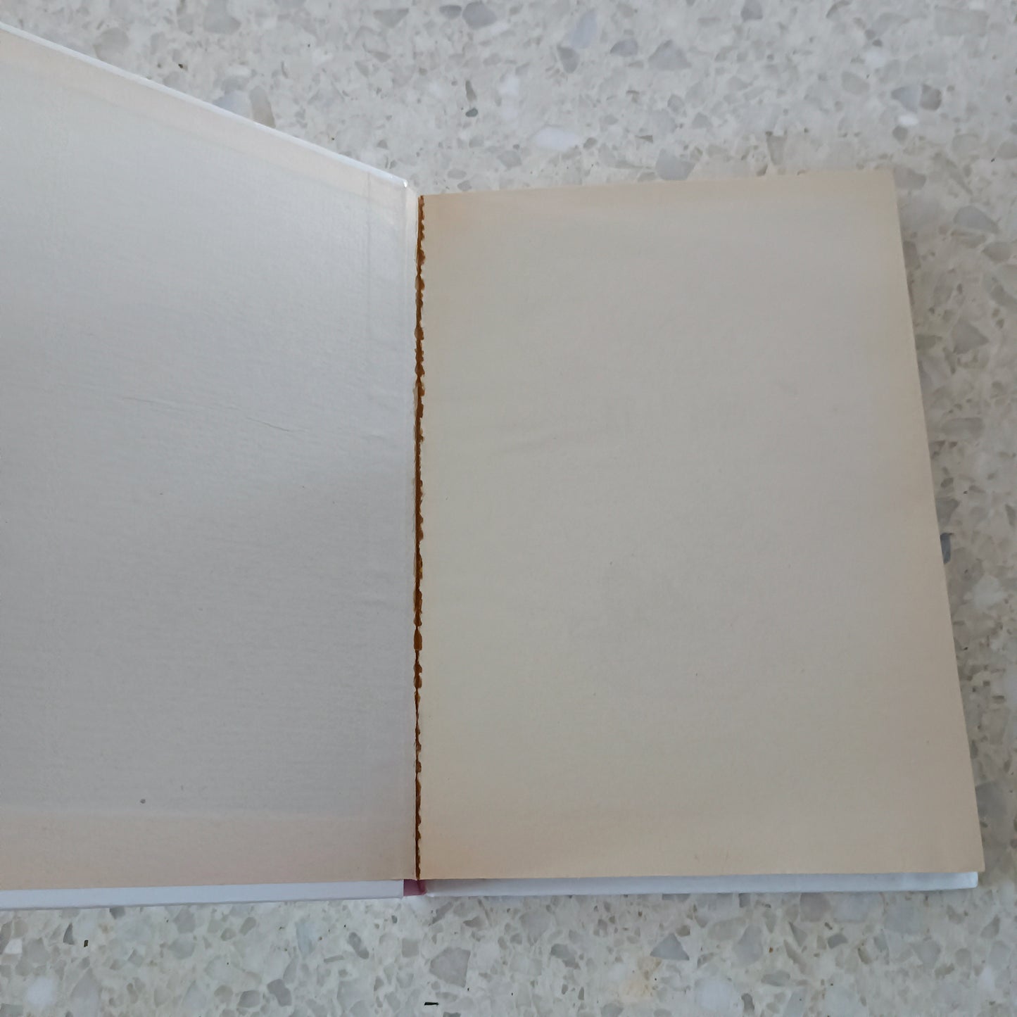 Livre jeunesse Lili Hachette