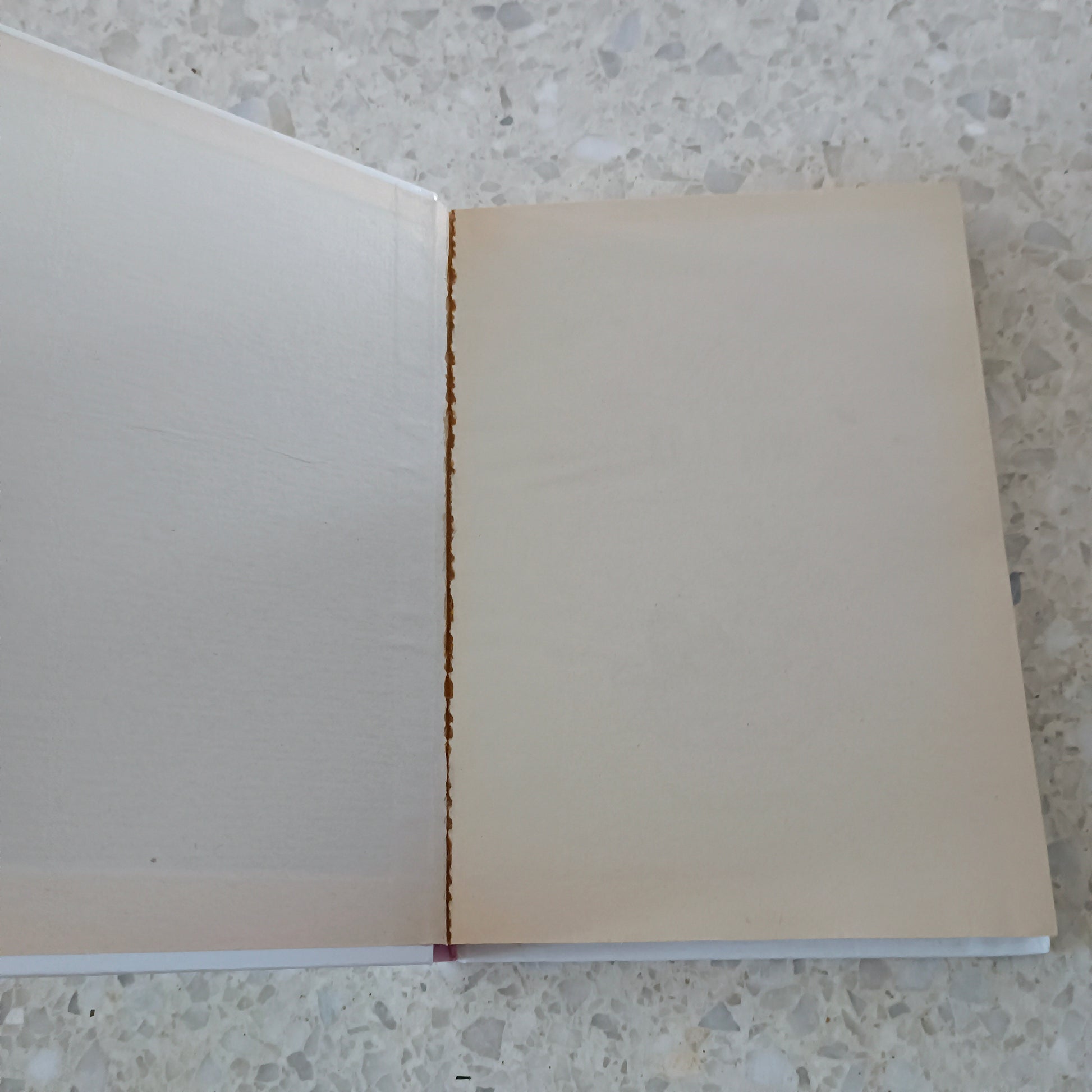 Livre jeunesse Lili Hachette