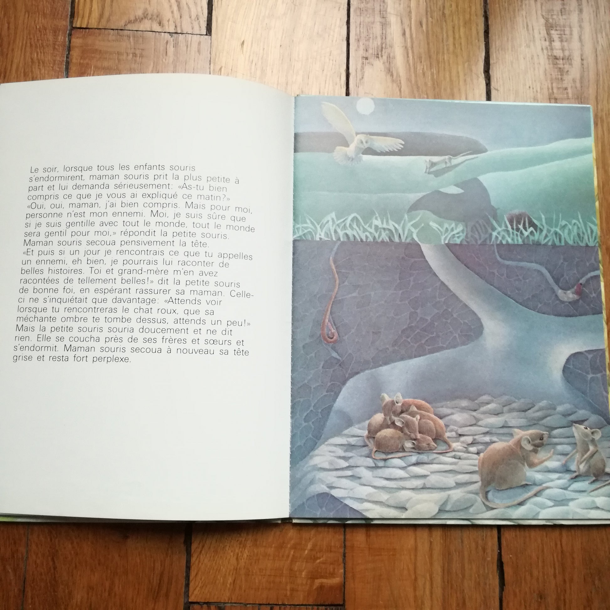 Livre jeunesse  Lotus