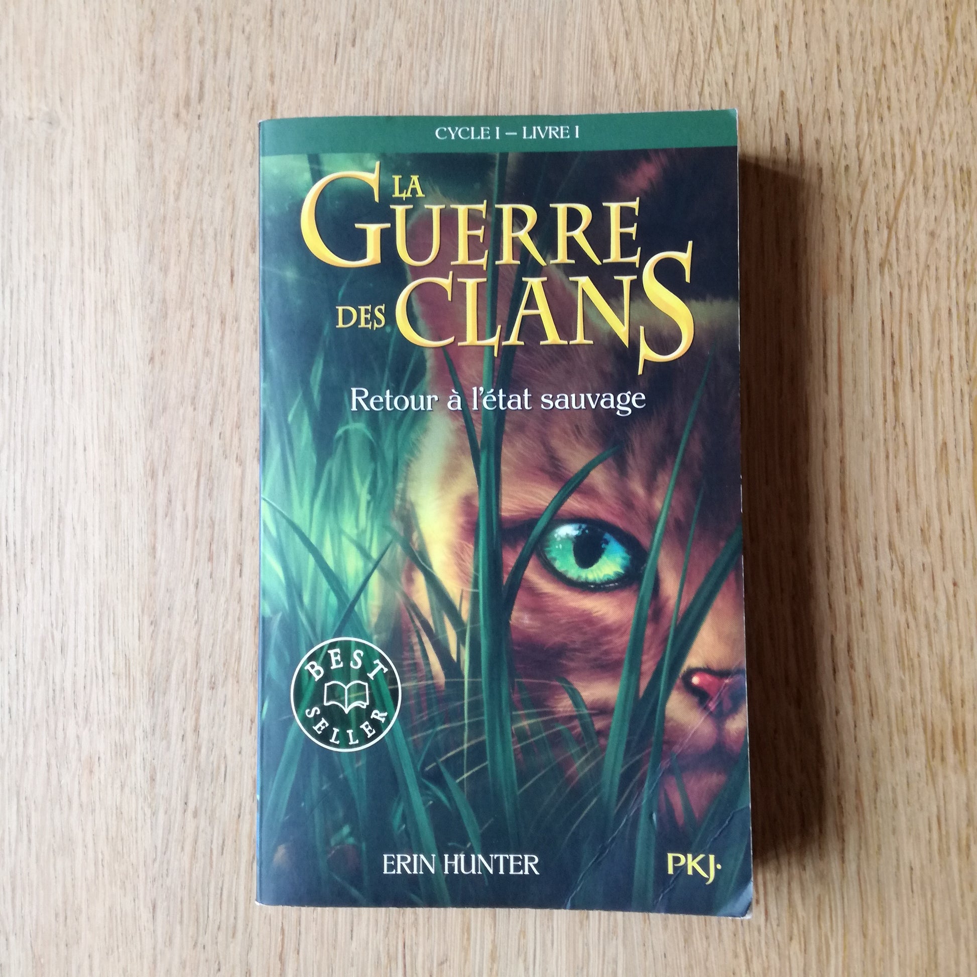 Livre jeunesse La Guerre des Clans Pocket
