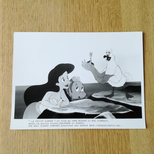 Photographie  Walt Disney